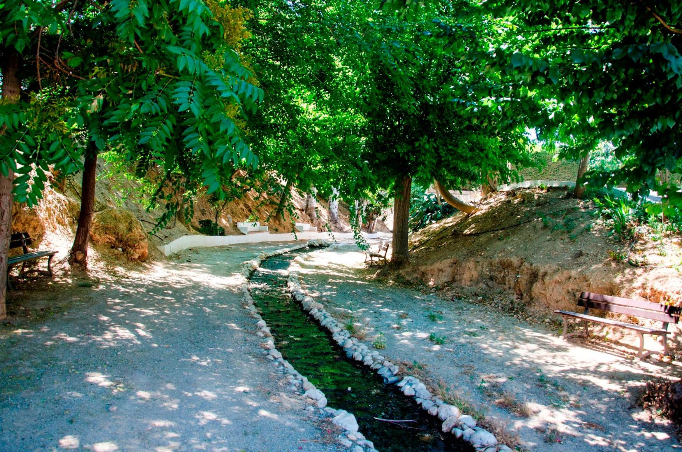 Photo 46