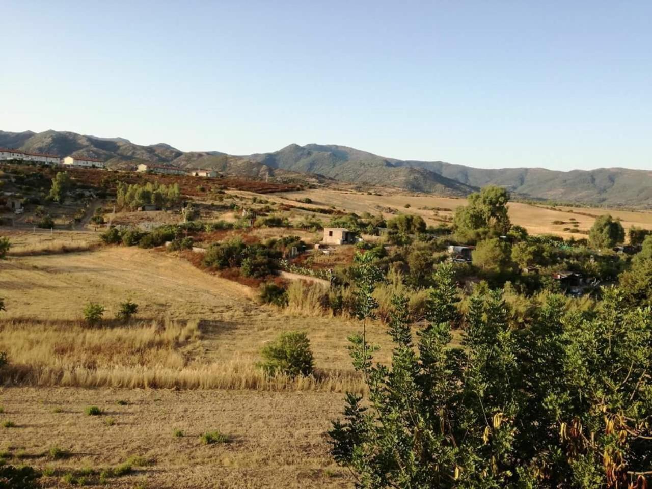 Photo 36