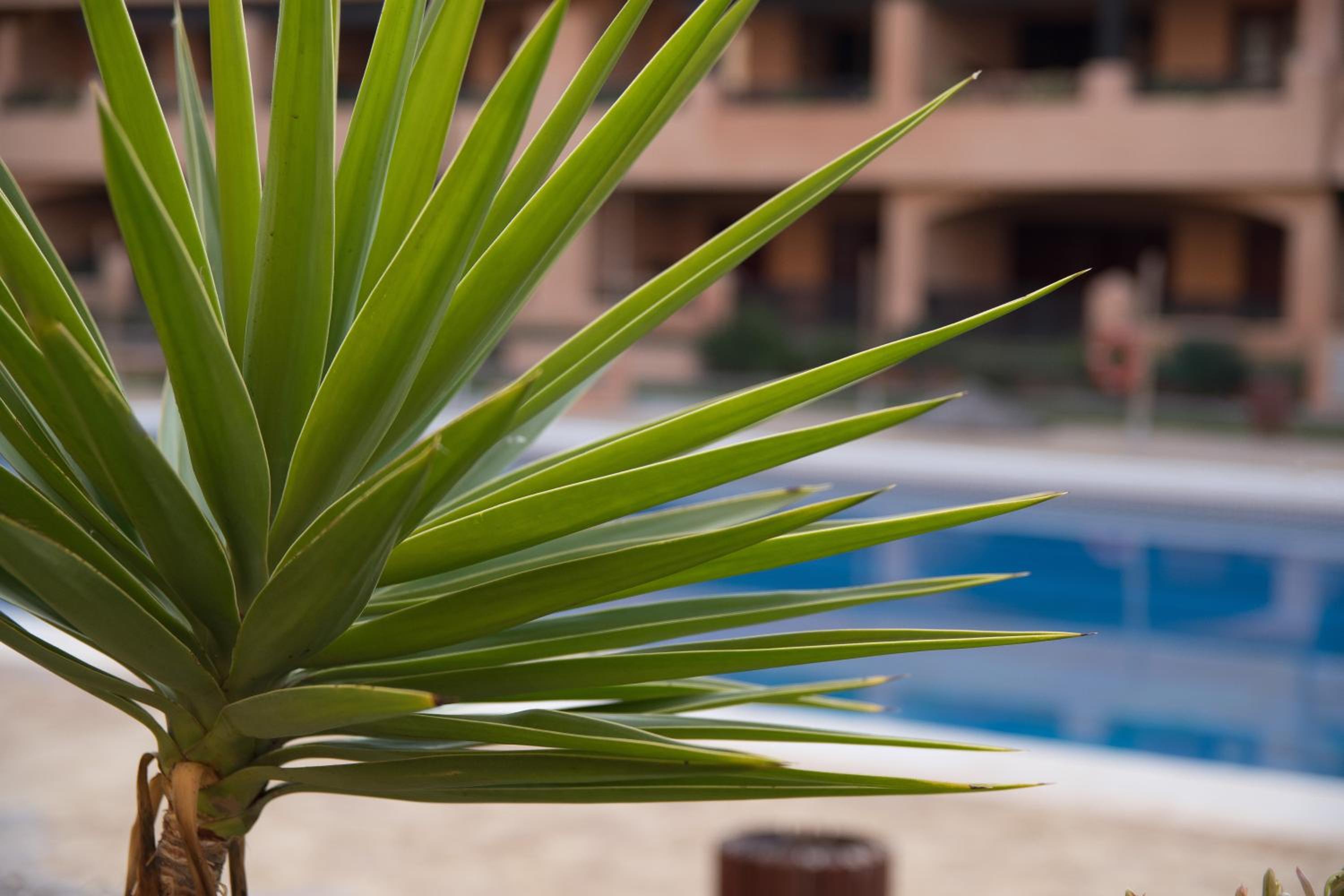 Apartamentos Turísticos Spiritmar