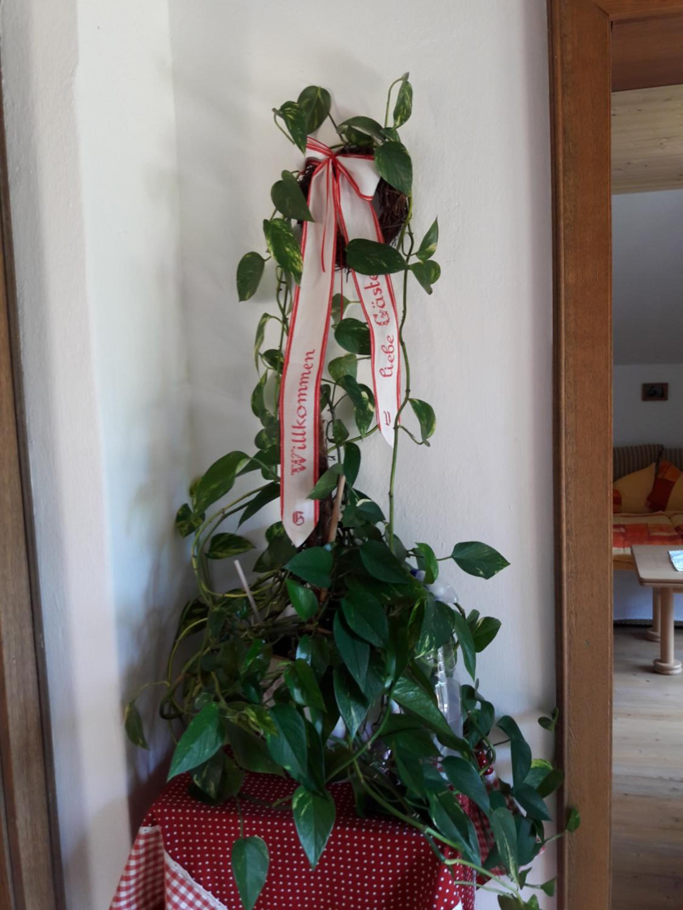 Haus Galler - Urlaub am Bauernhof