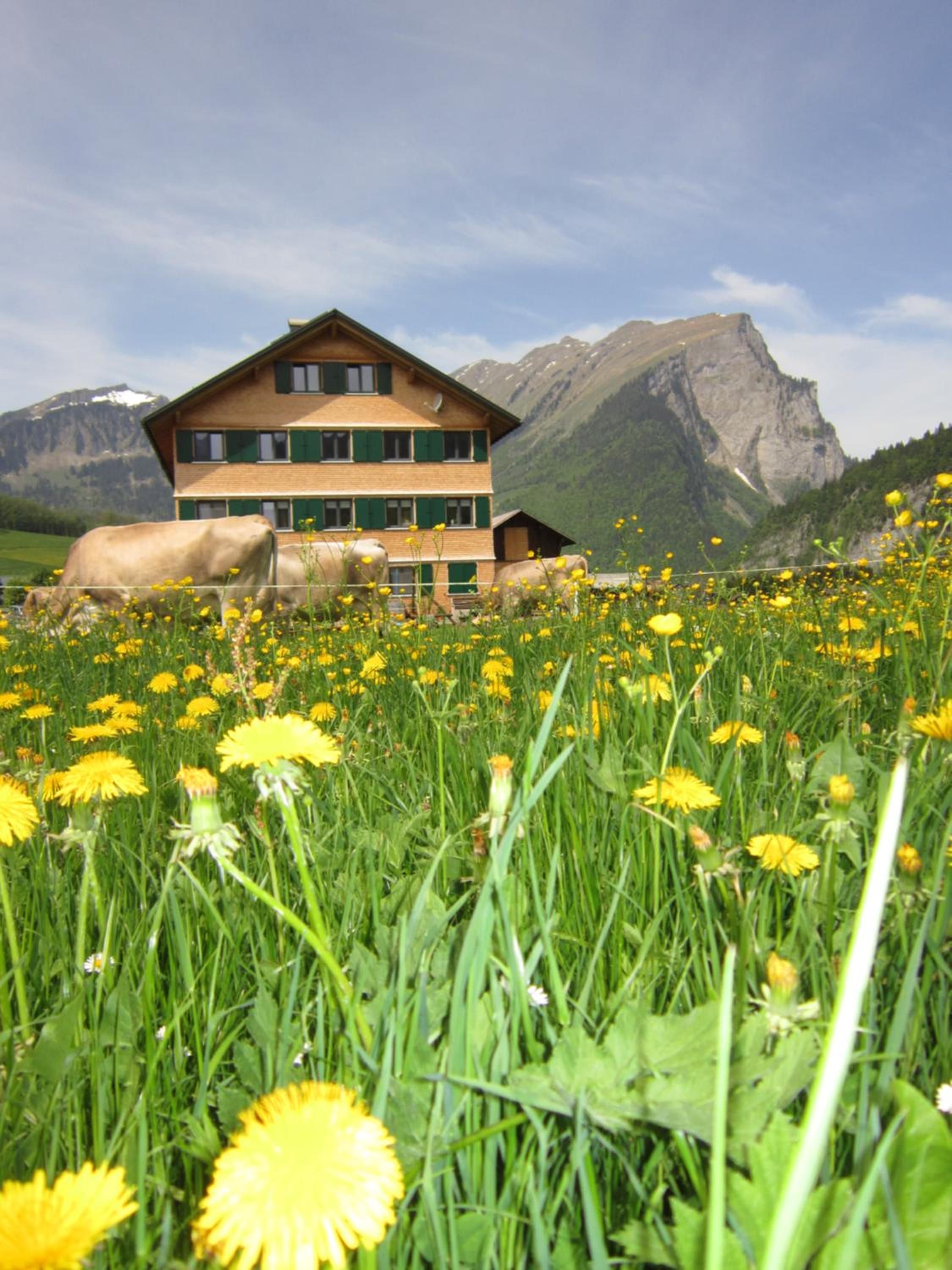 building