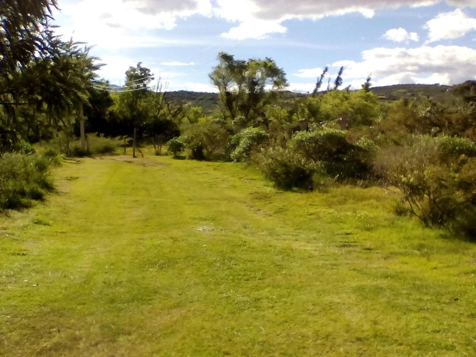 Hospedaje y Zona de Camping Pistacho