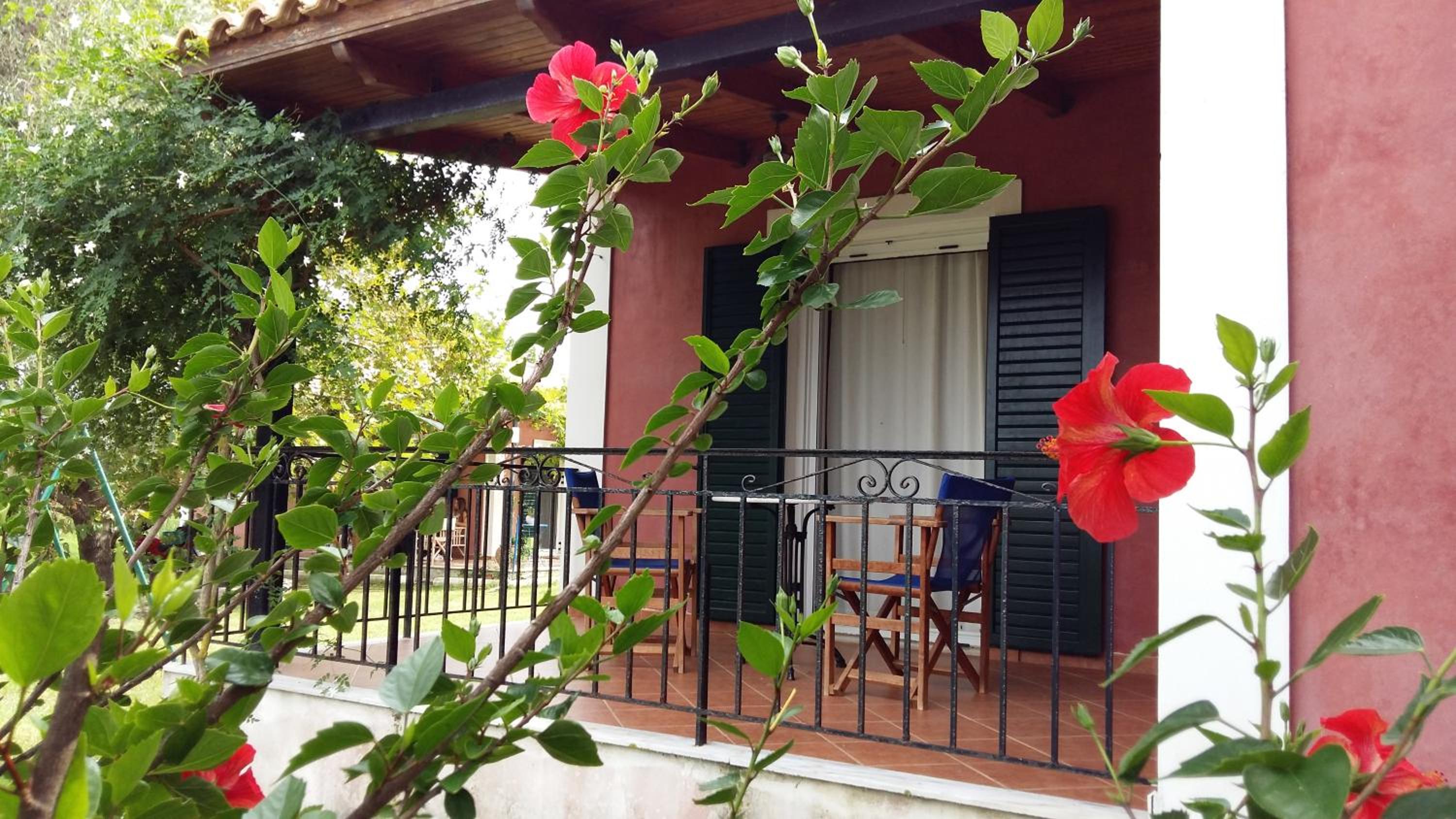 Photo 23