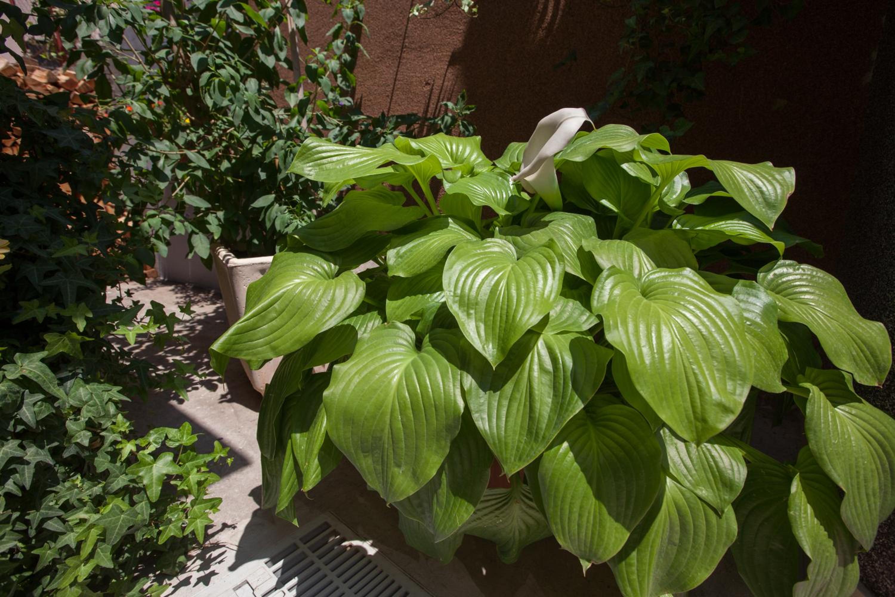 Guest House Damir photo 5