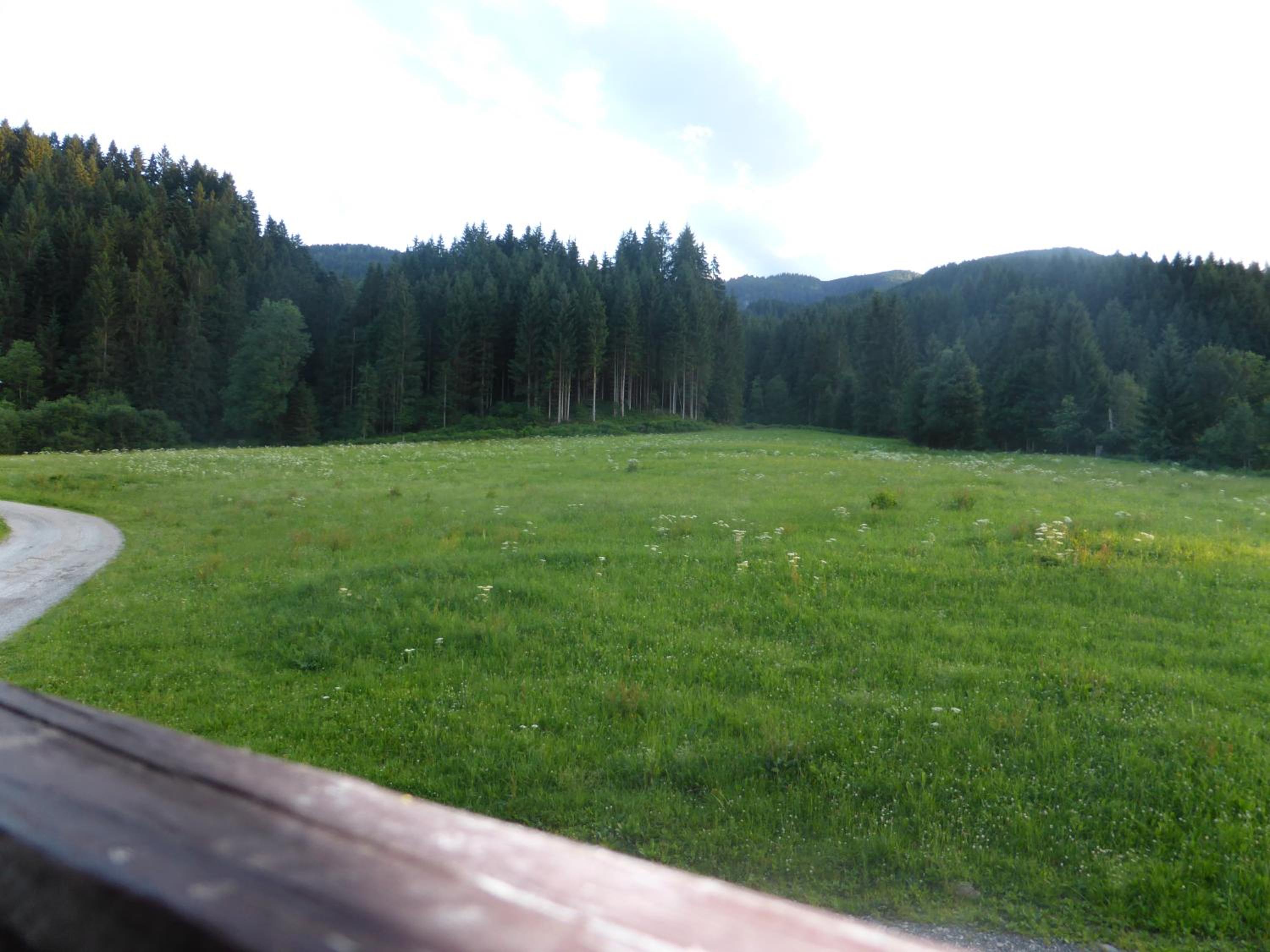 Schwaighof