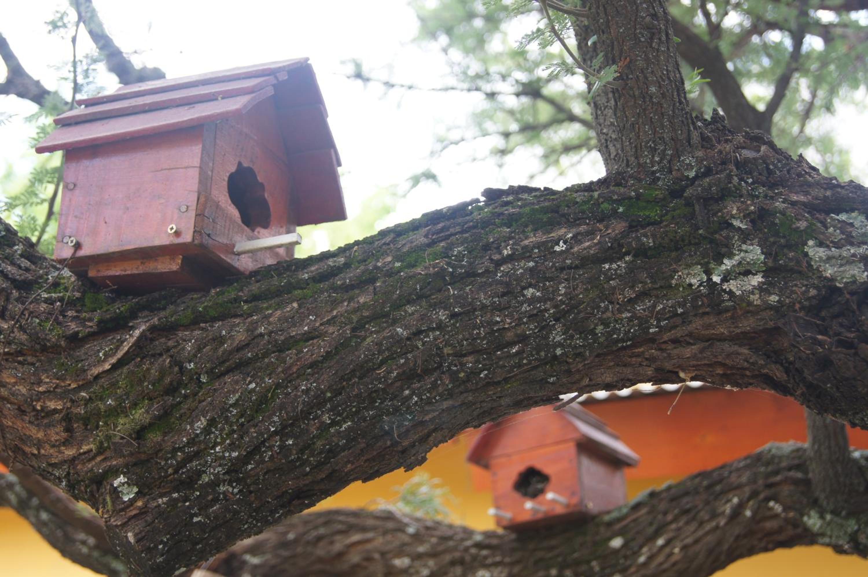 La Herradura