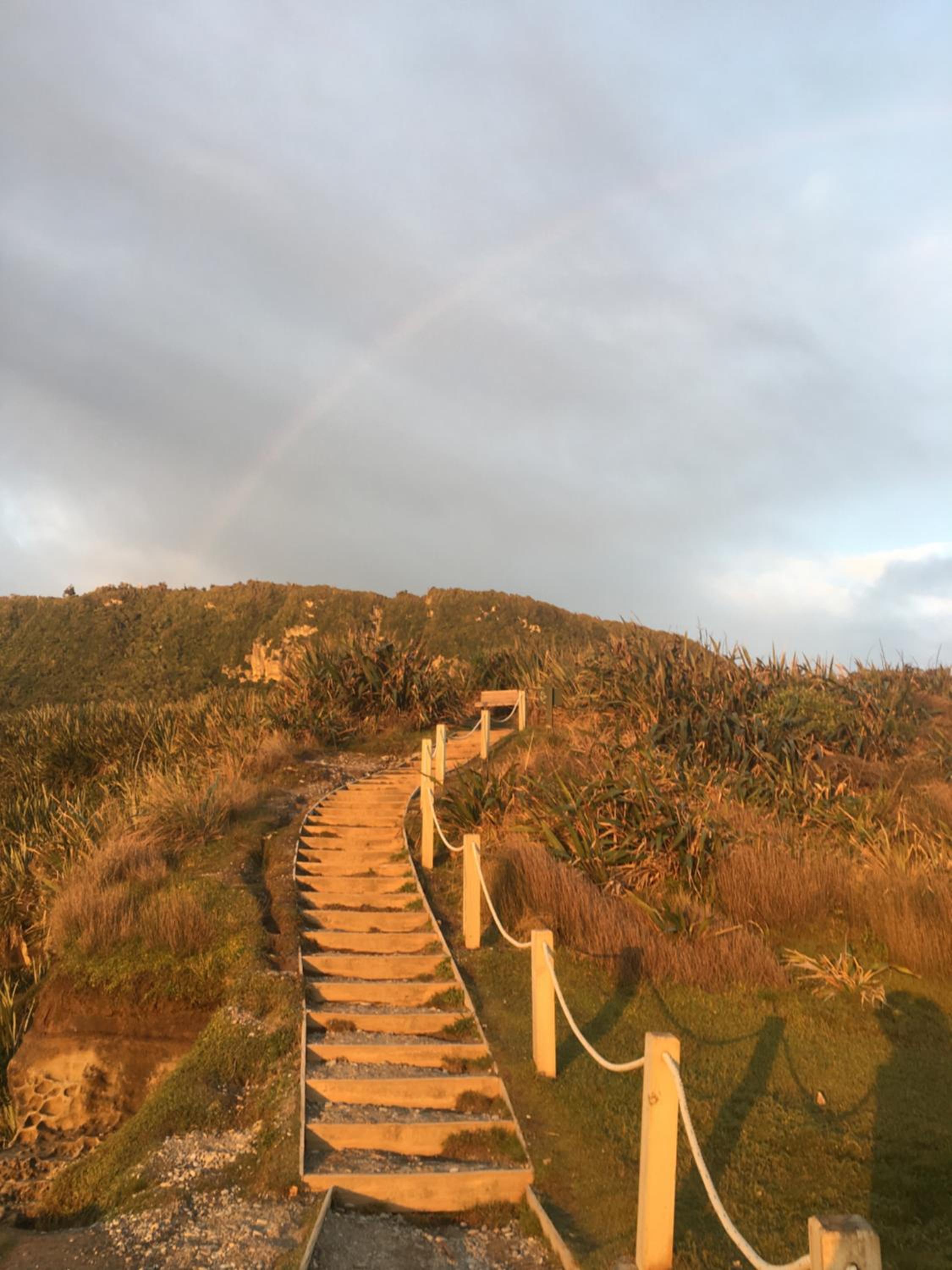 Punakaiki Treehouse Limited view 2