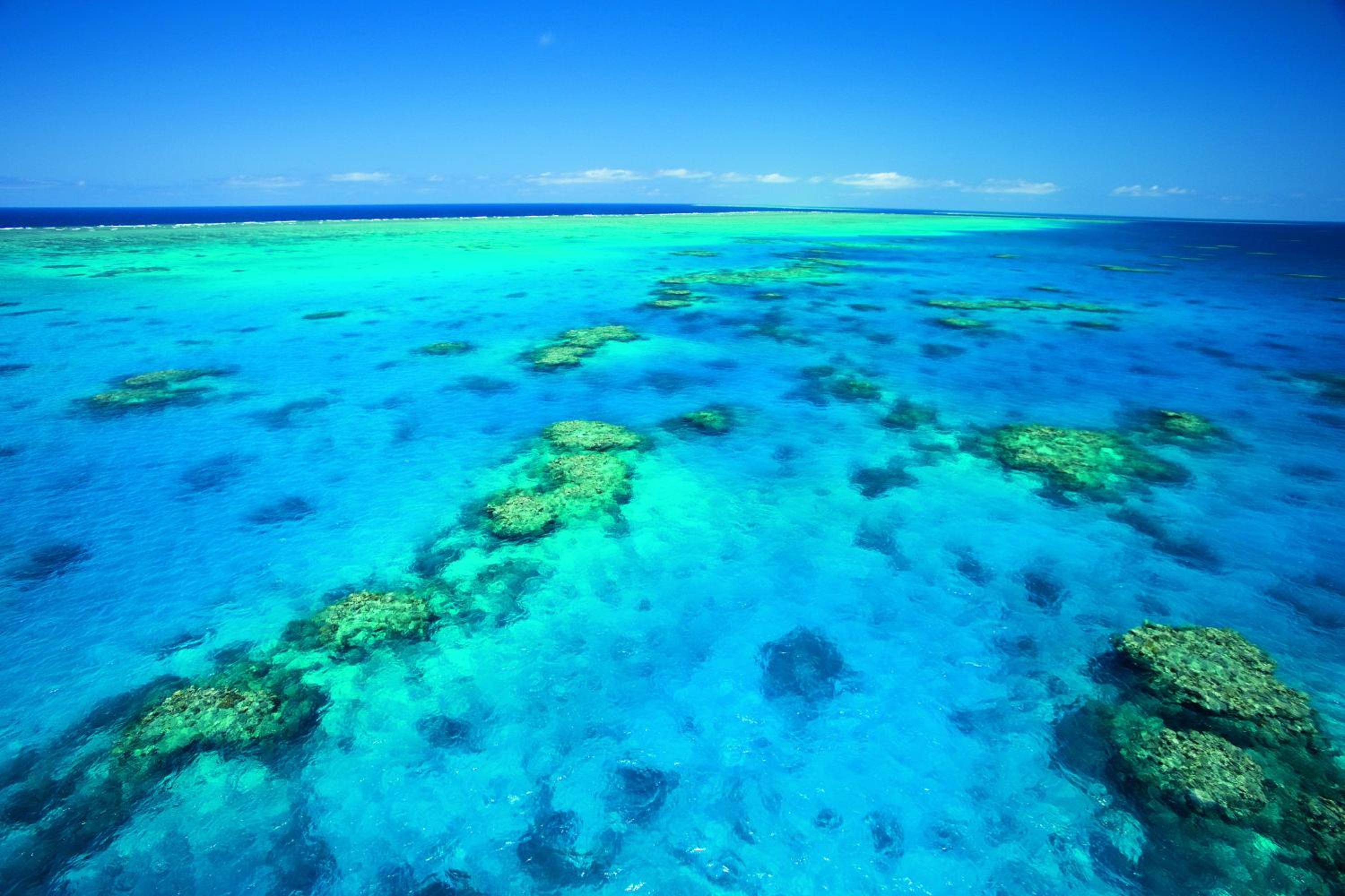 NRMA Cairns Holiday Park - Image 5