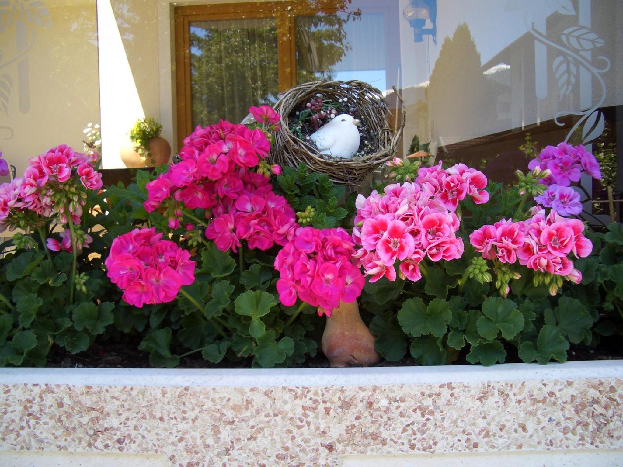 Photo 45