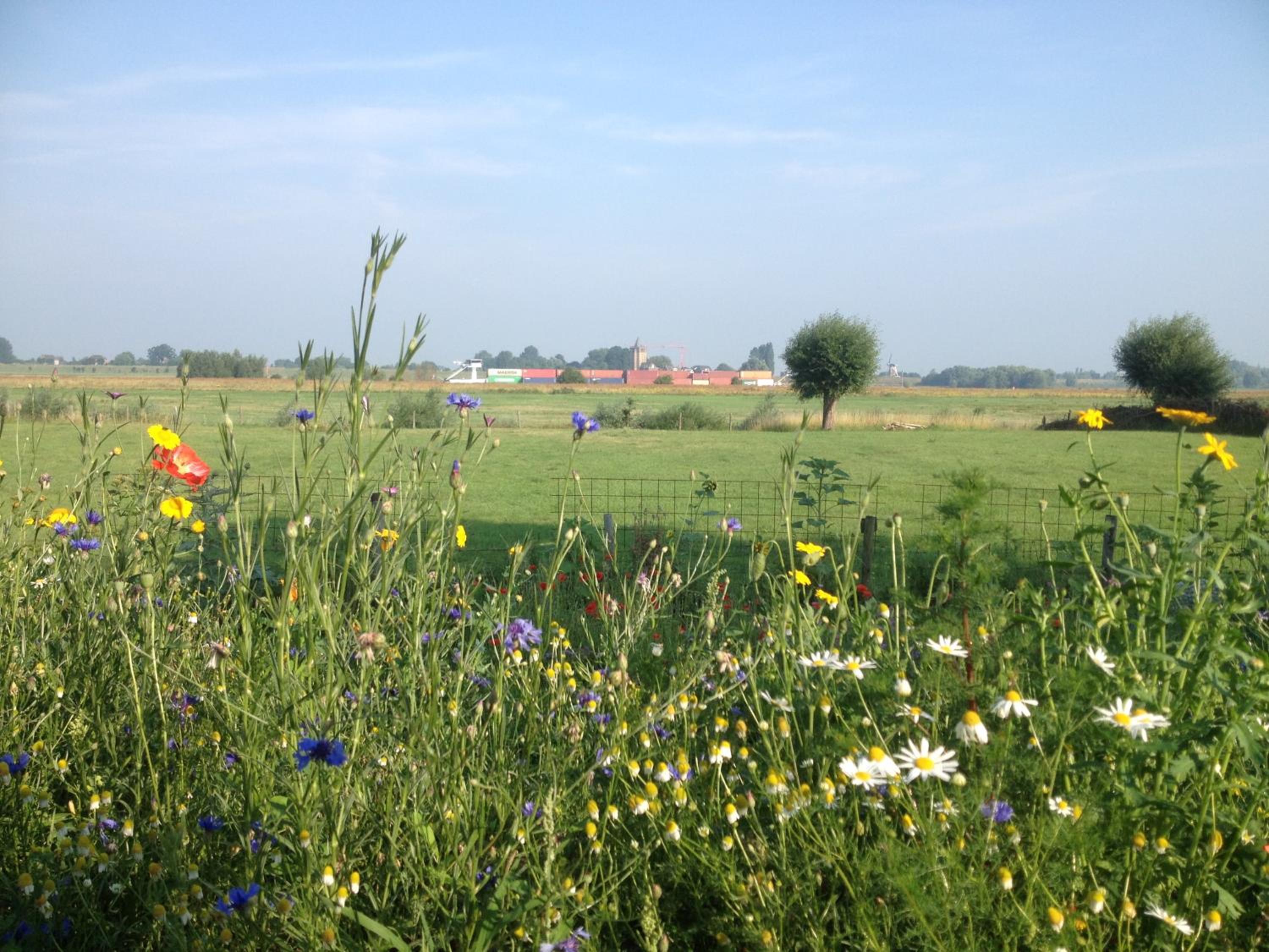 Photo 40