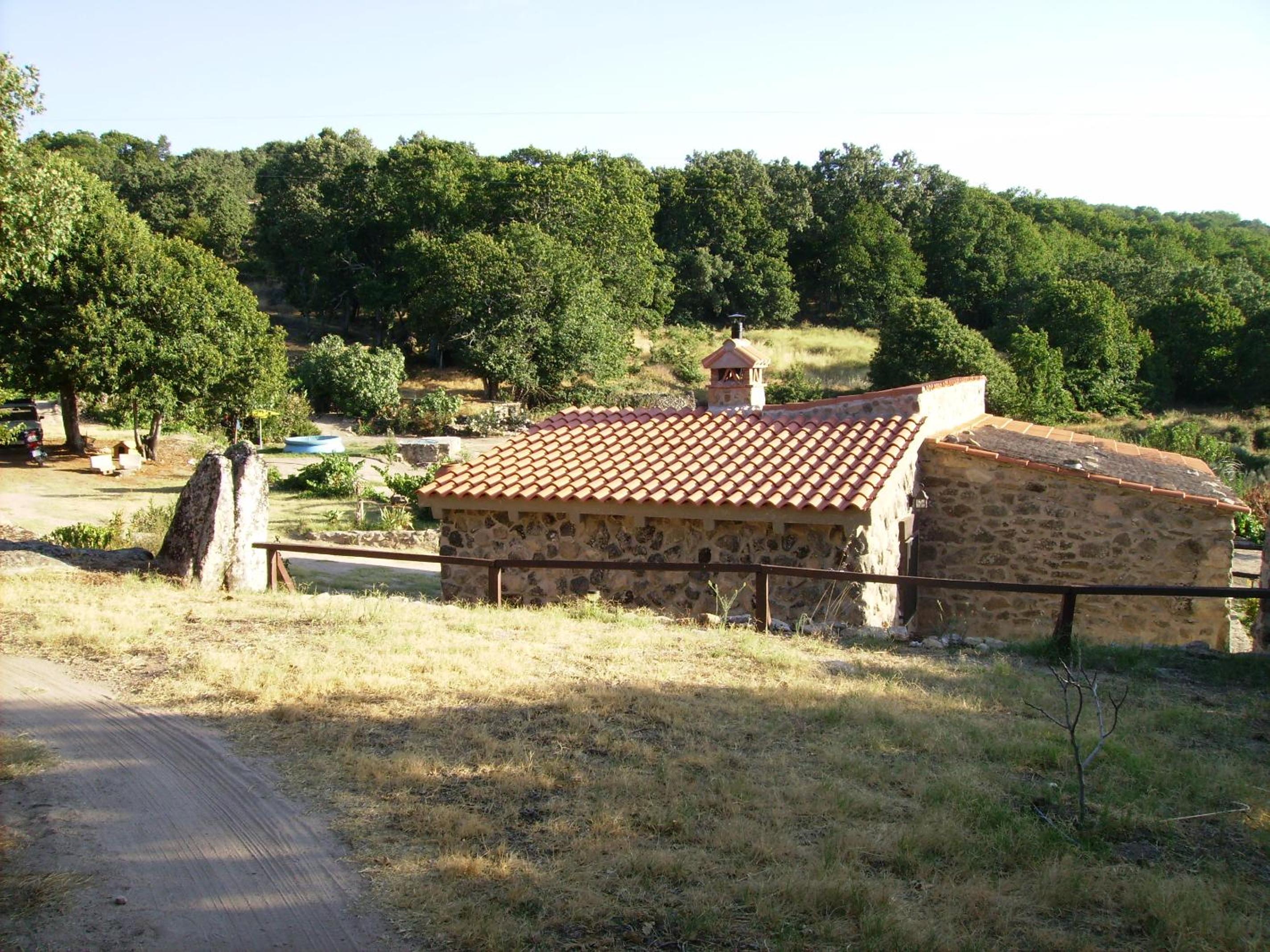 Photo 6