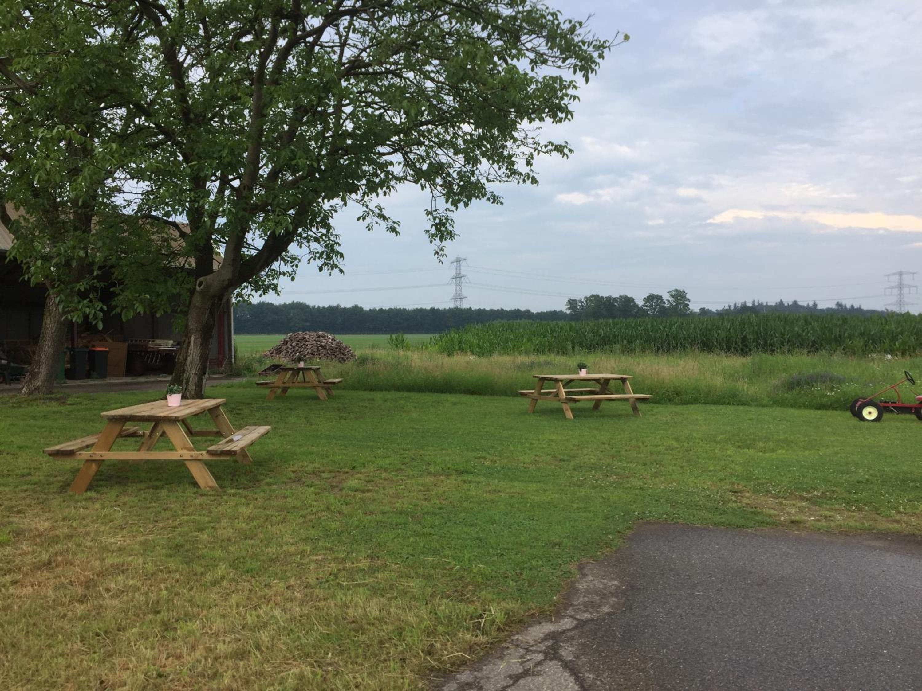 B&B Erve ten Dam