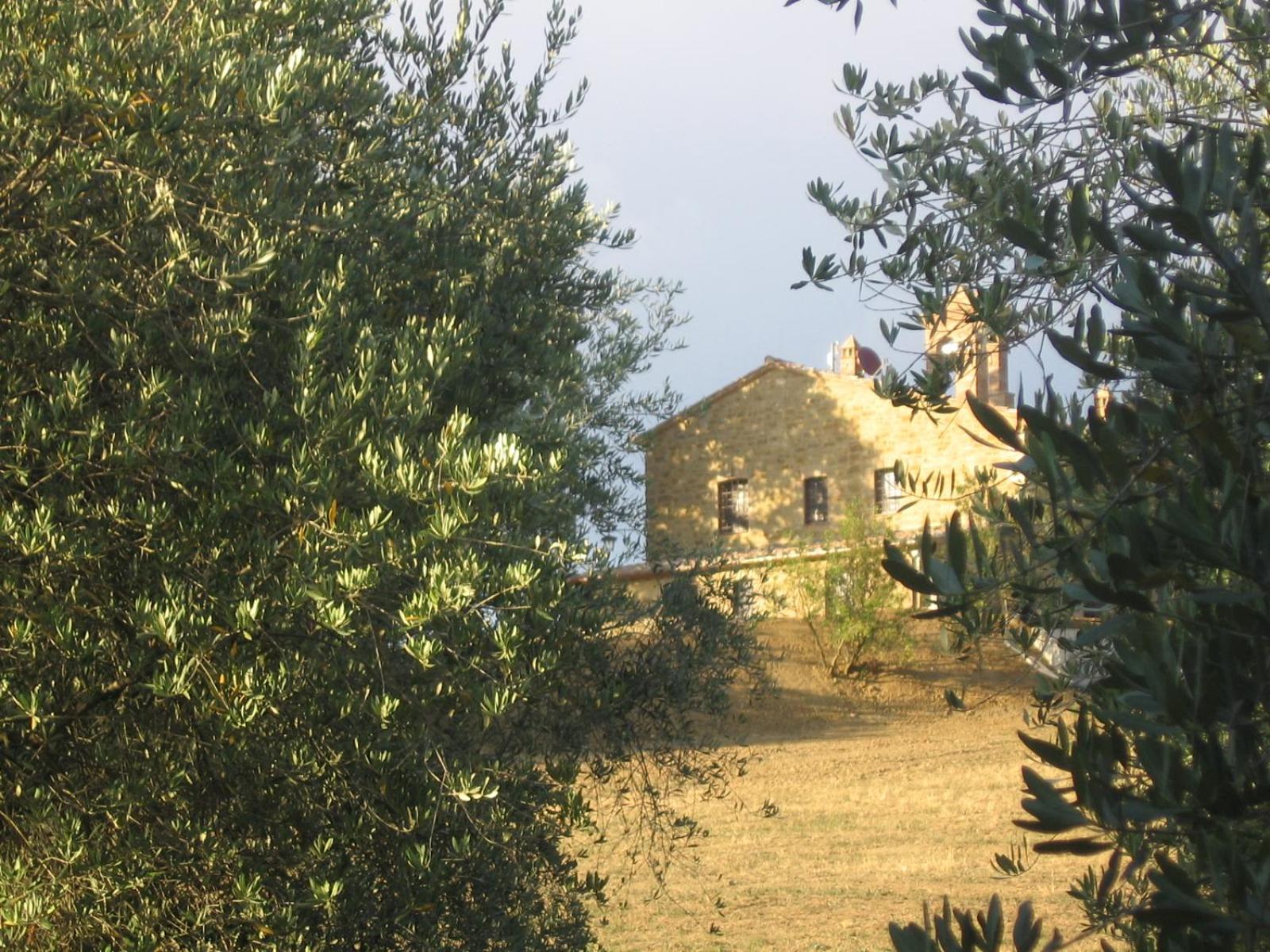 Photo 27