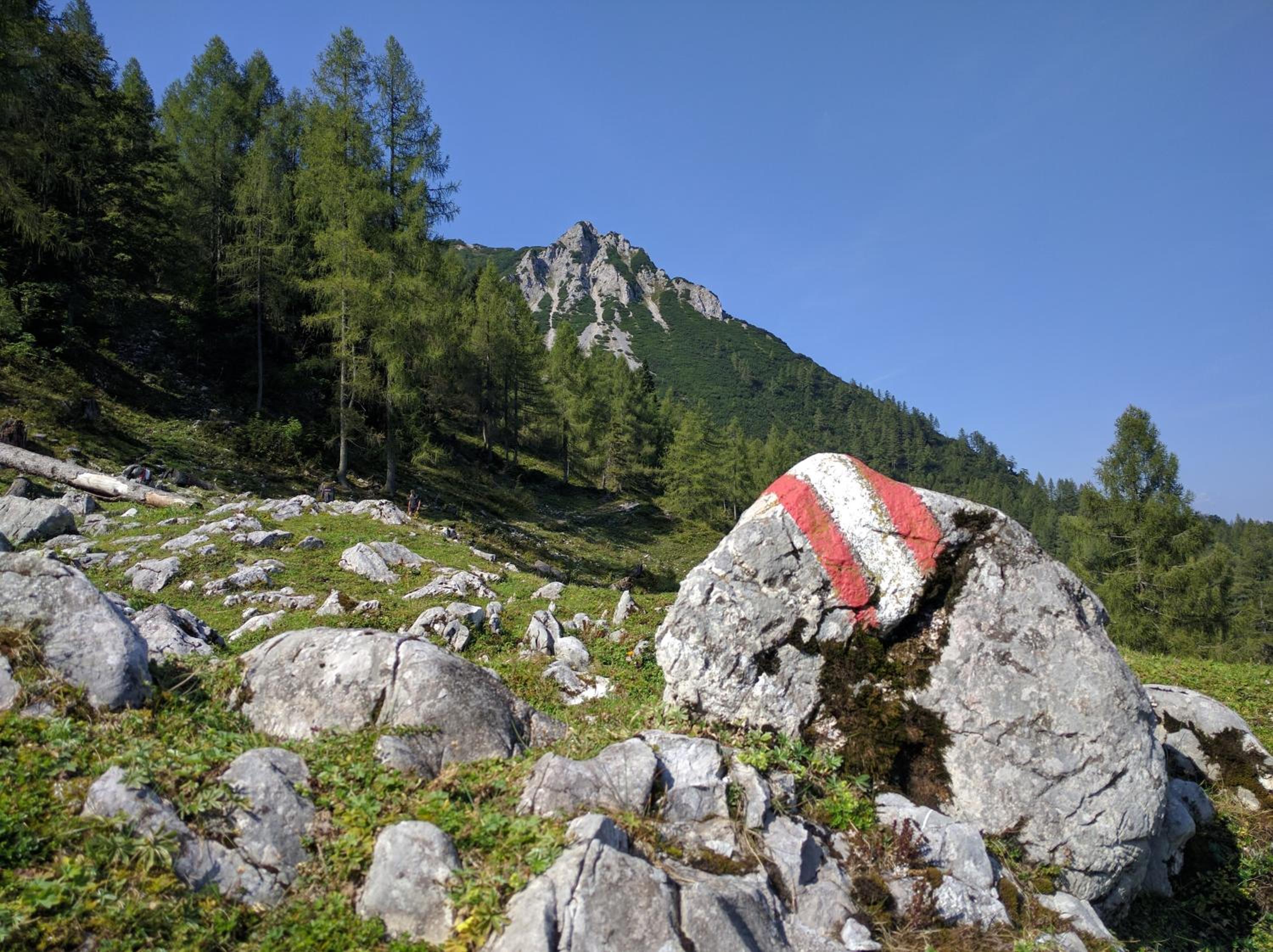 Ferienhaus Mountain View