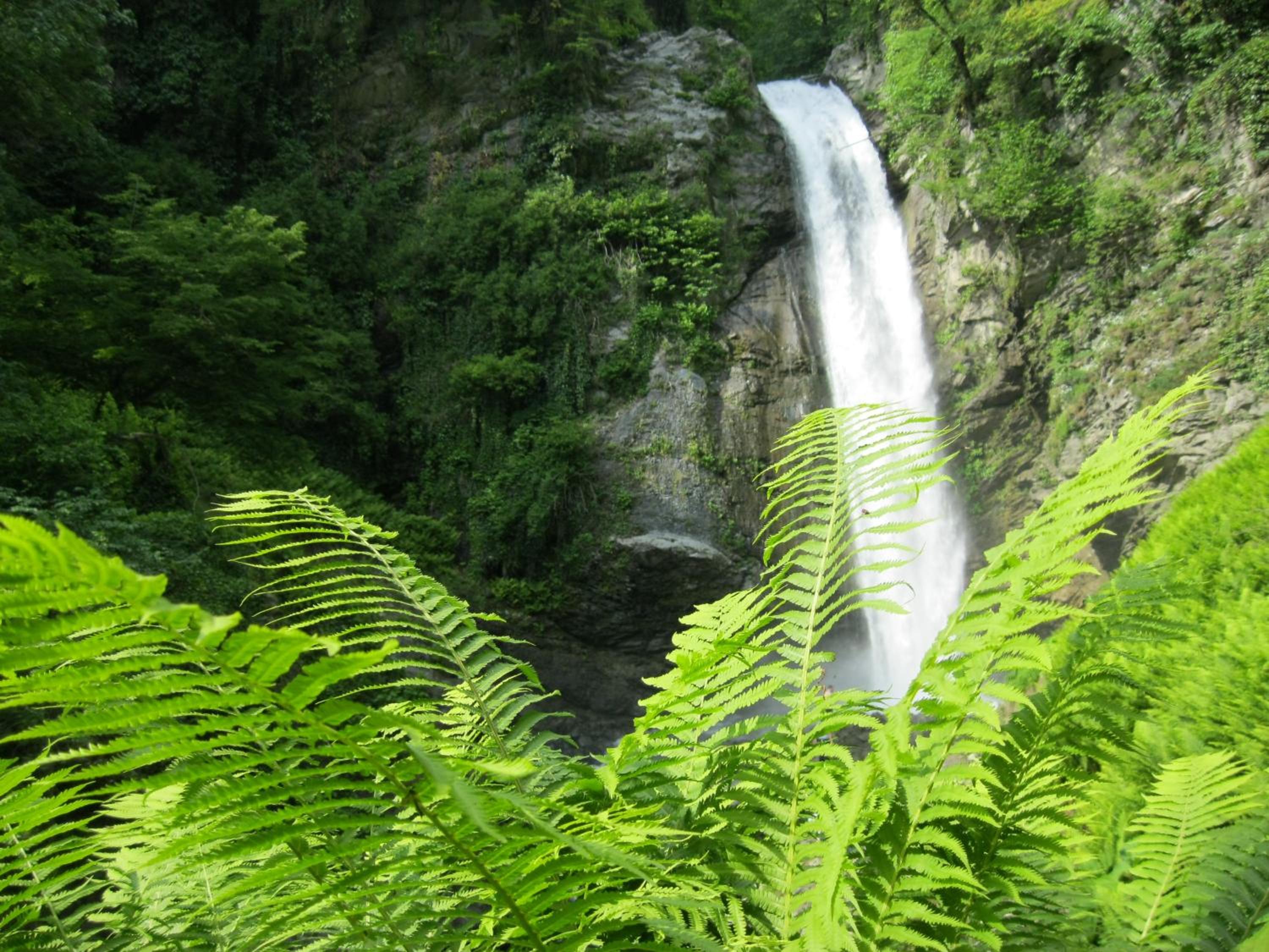 Photo 107