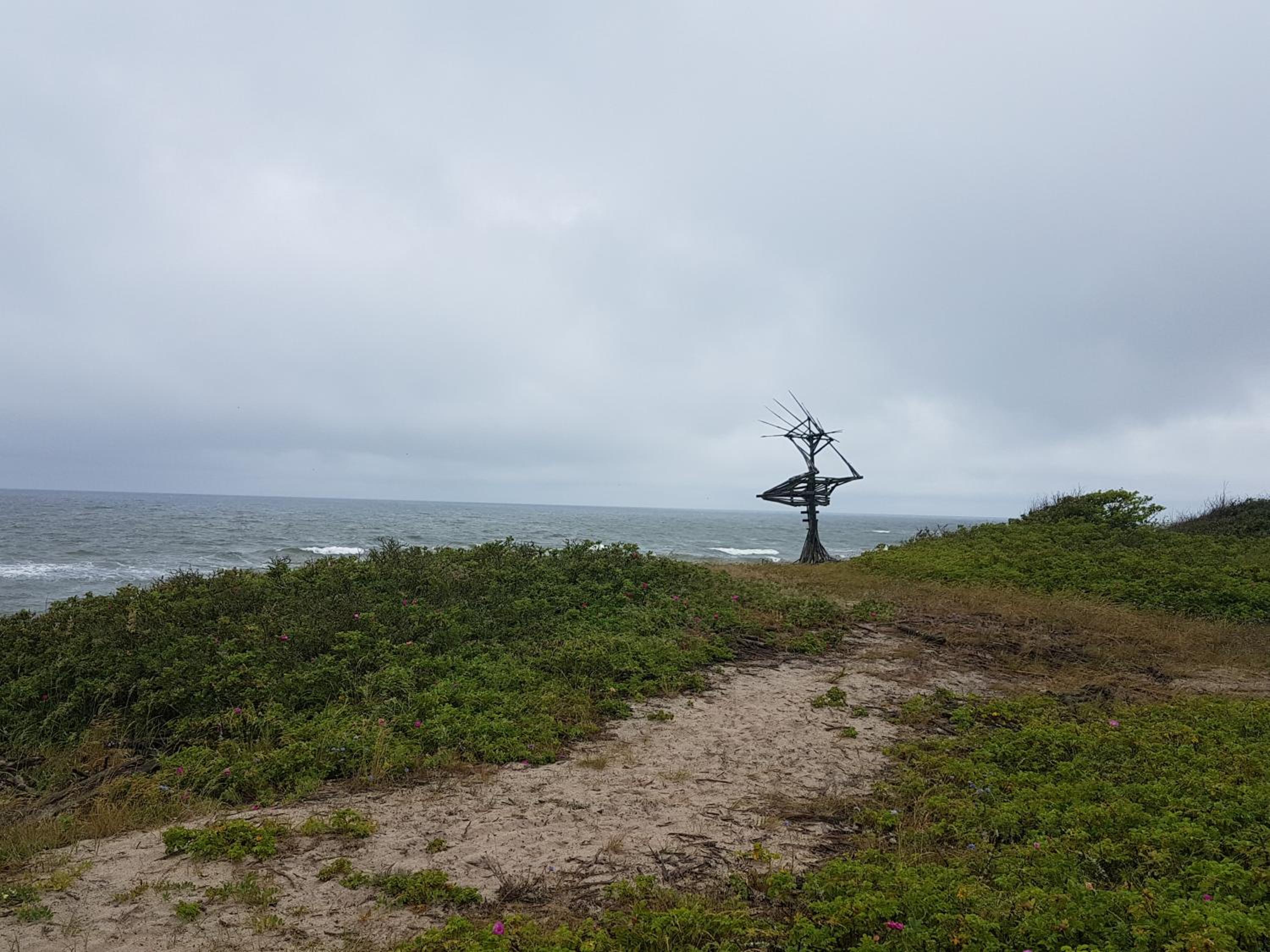 Photo 16