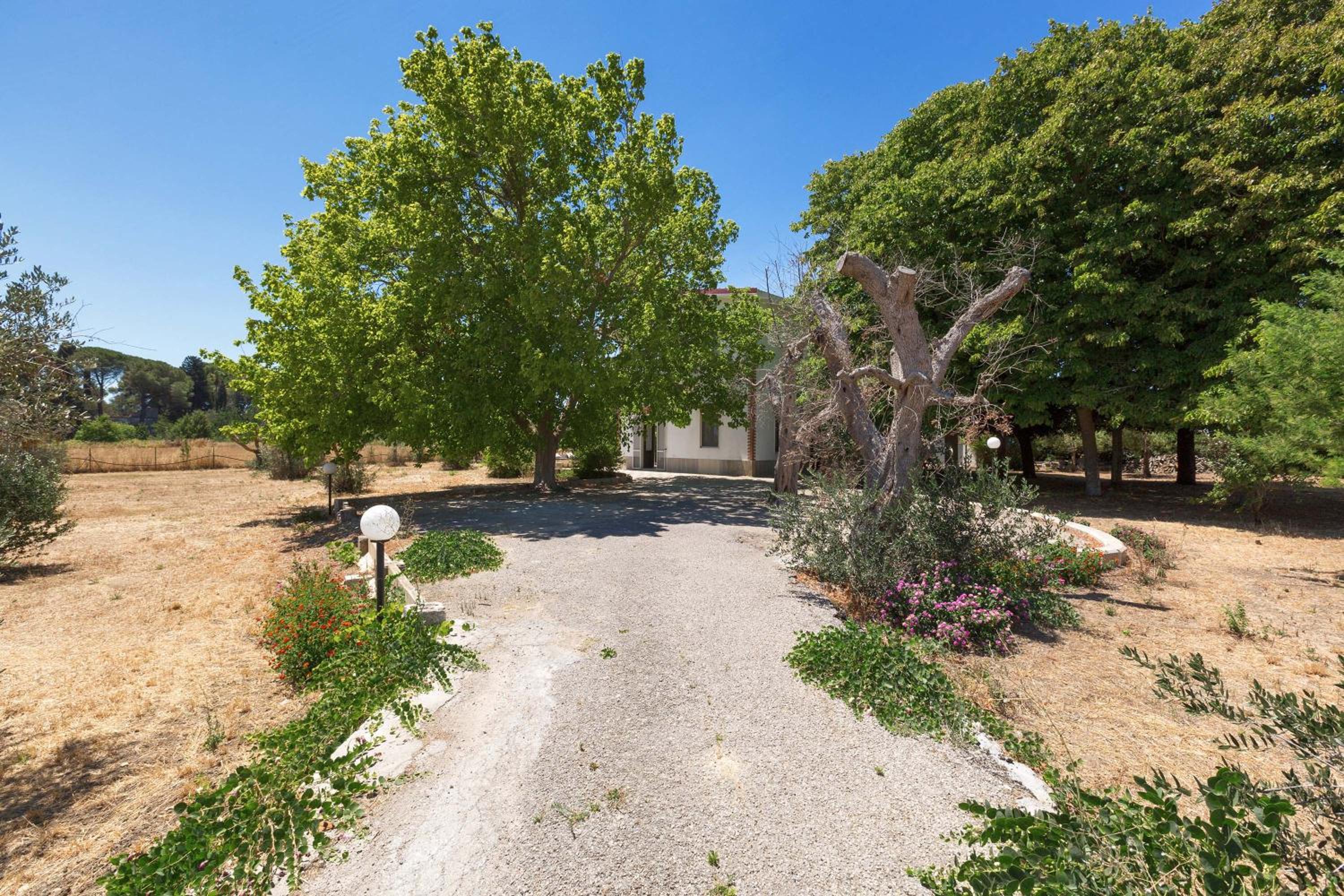 Villa dei Primi by BarbarHouse