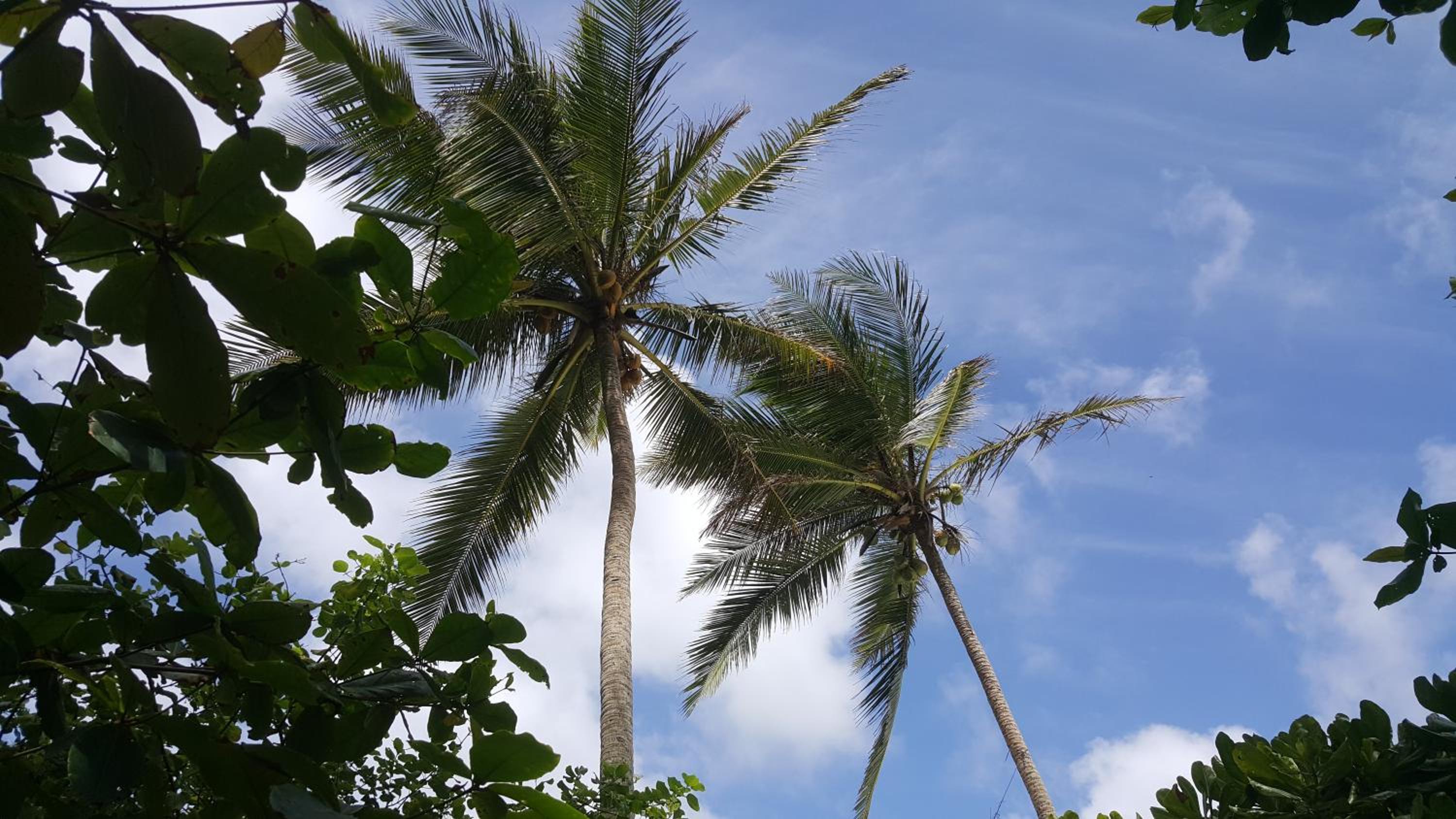 Rumassala Villas