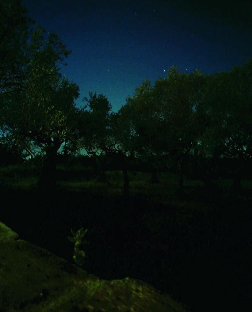 La Tortora