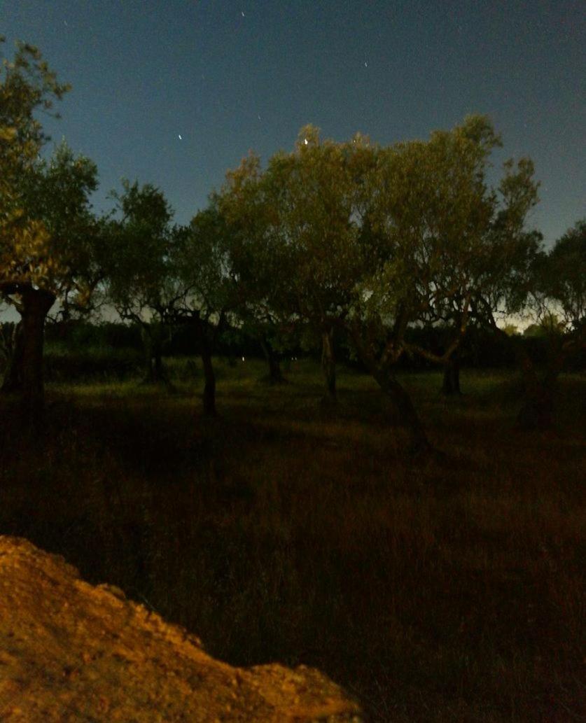 La Tortora