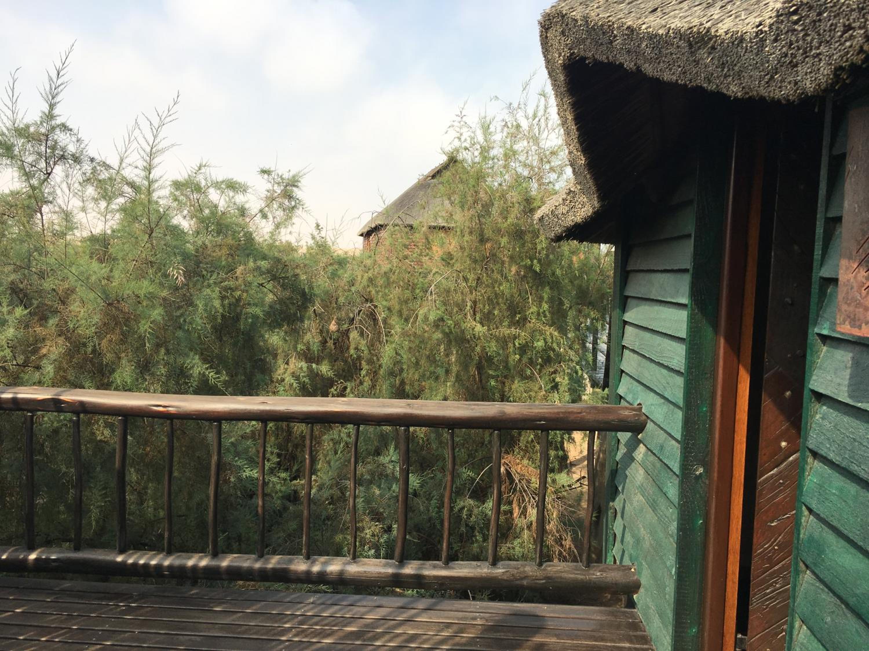 Stiltz Guest House, photo 15
