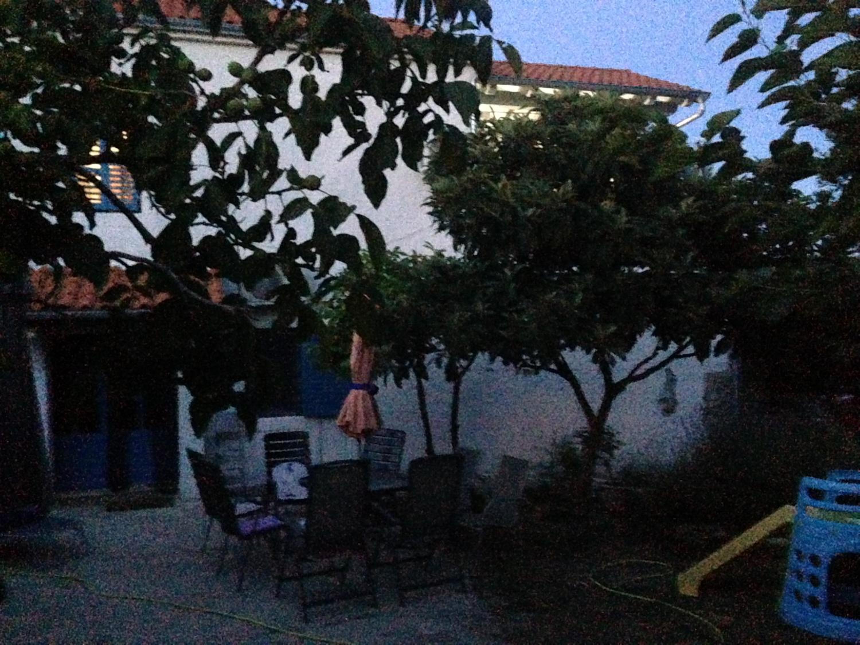 Photo 32