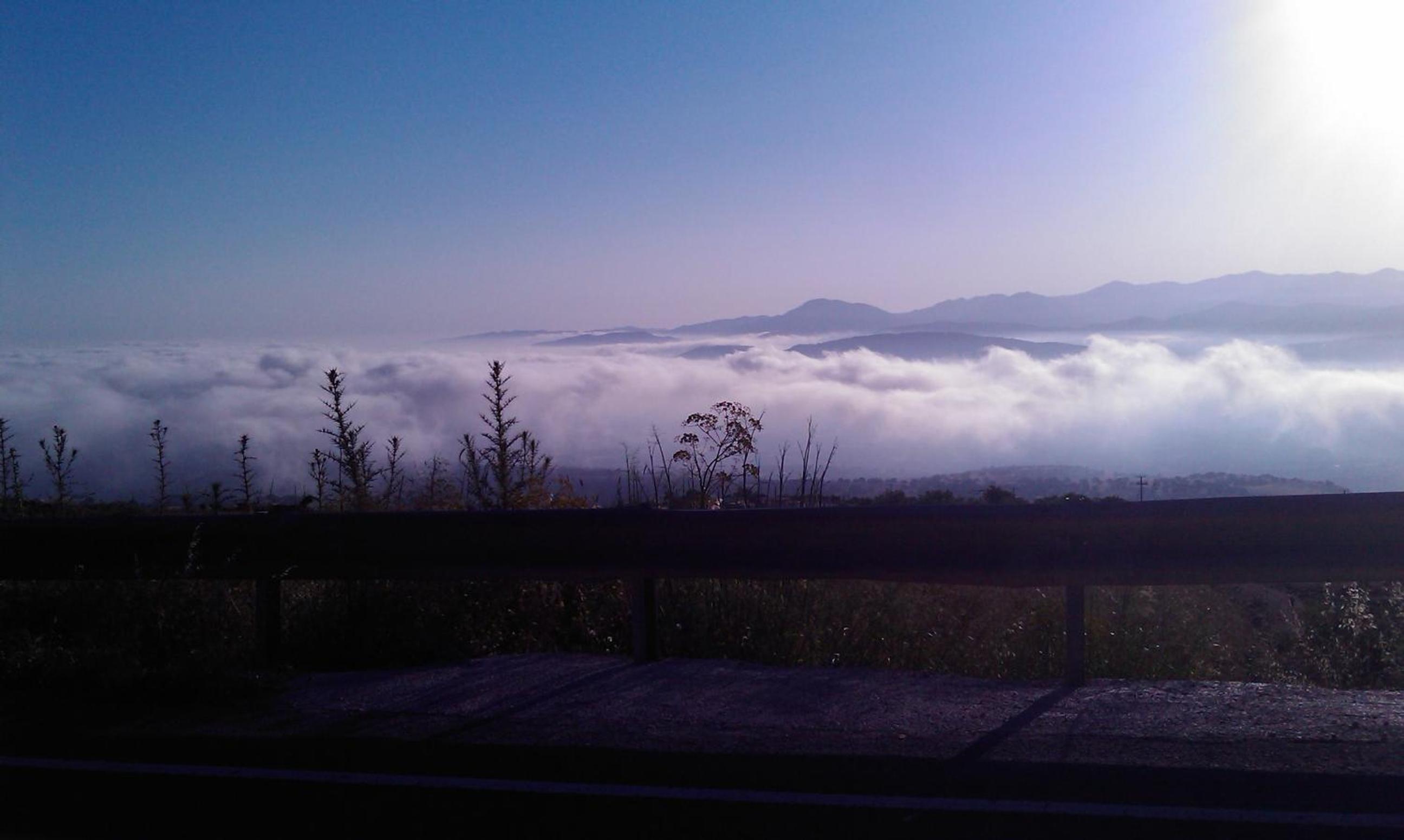 Photo 49