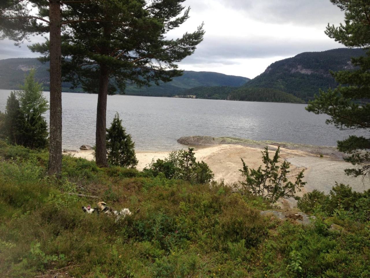 Photo 26