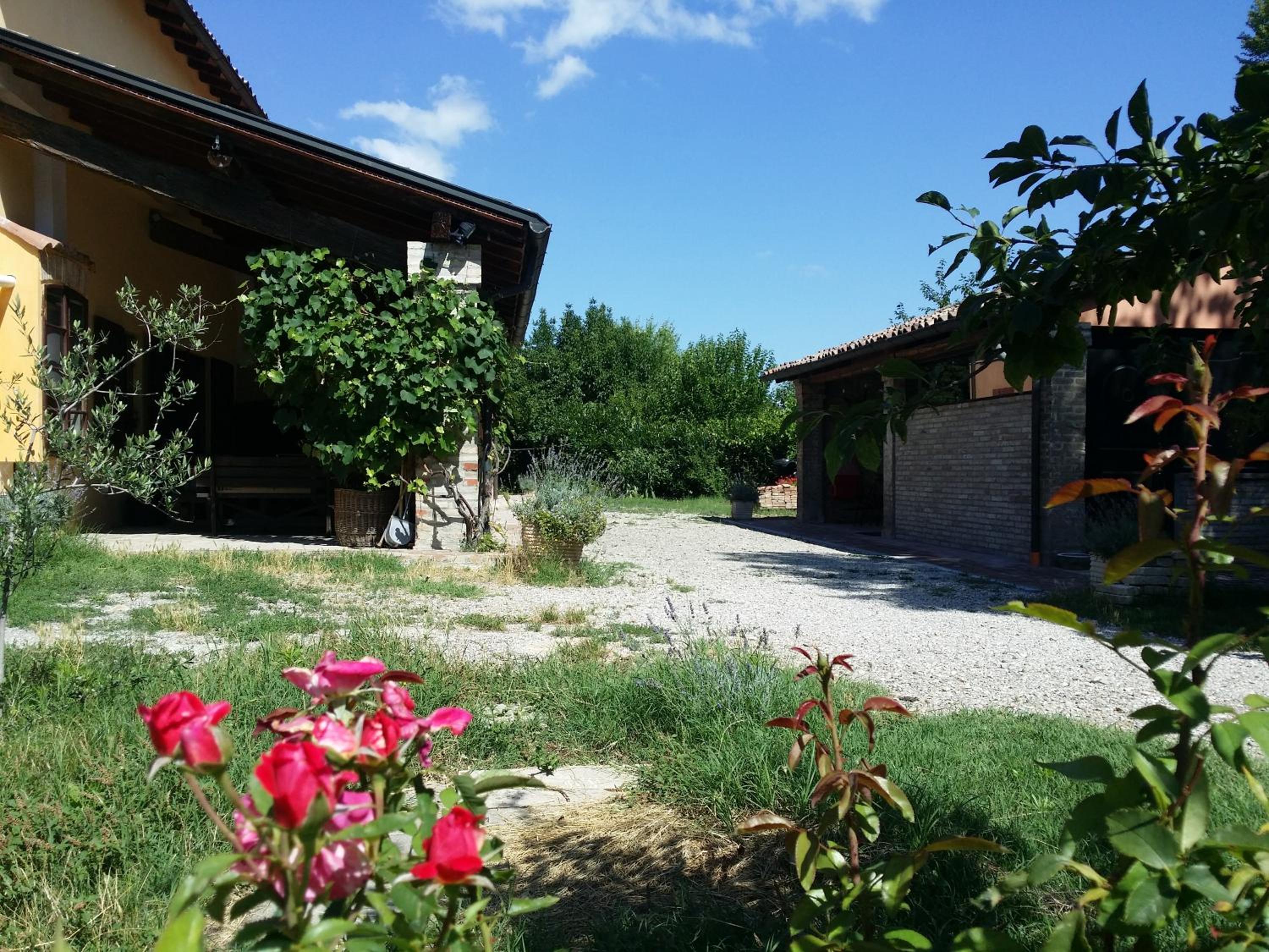 Photo 41