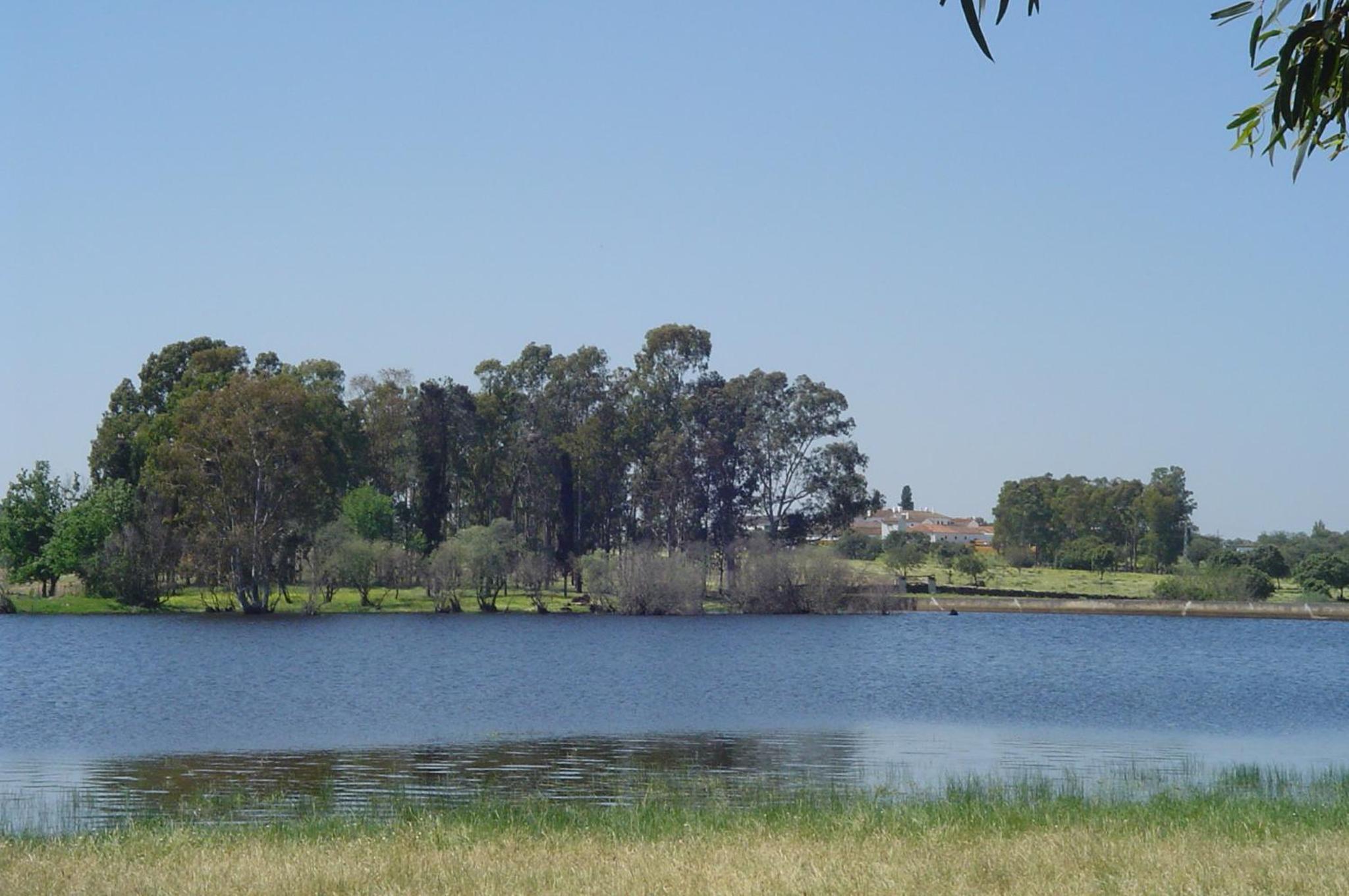 Photo 17