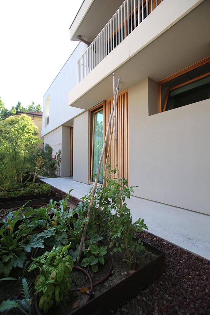 20dimare view 5