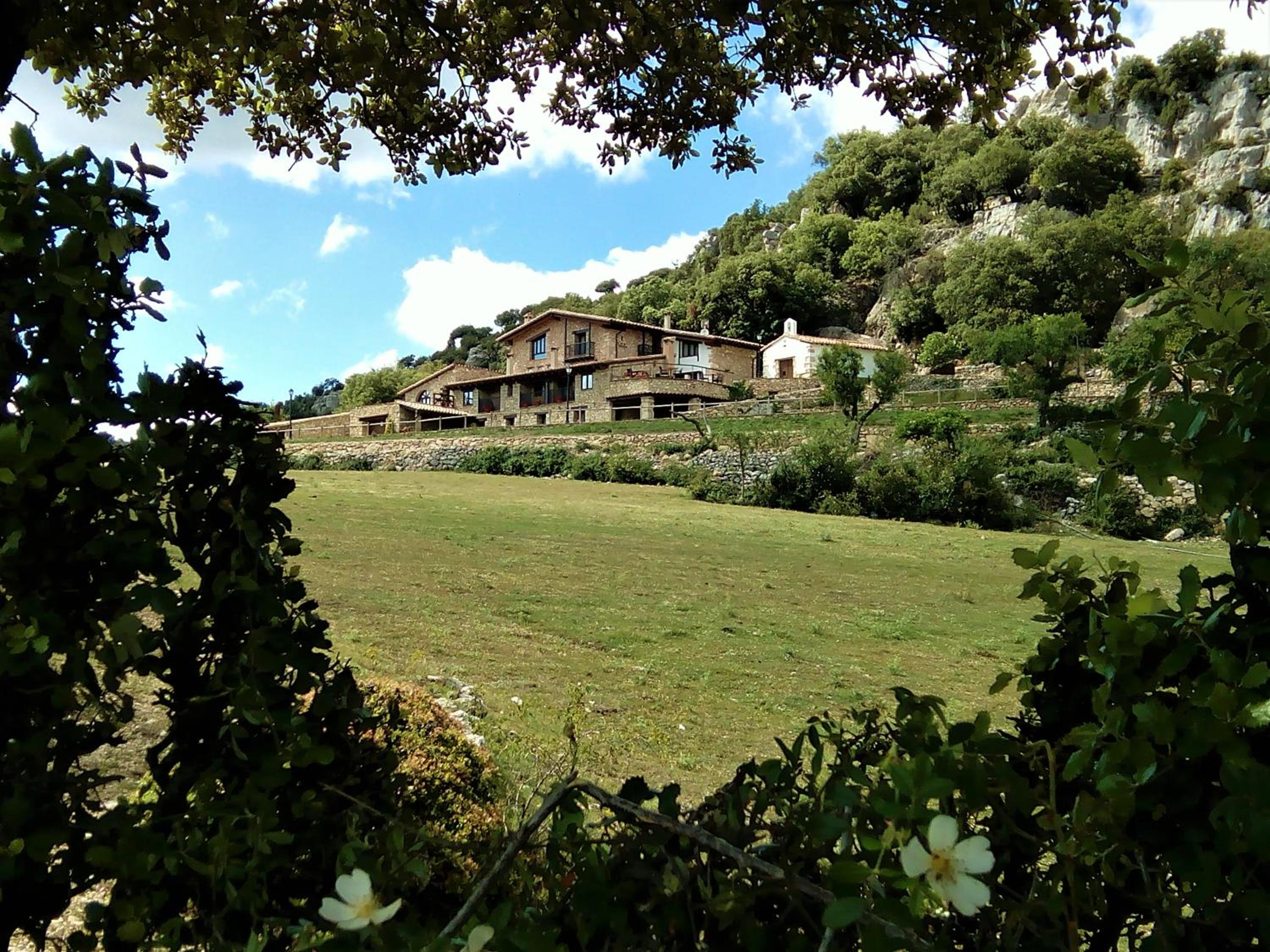 Font D'en Torres Solo Adultos view 5