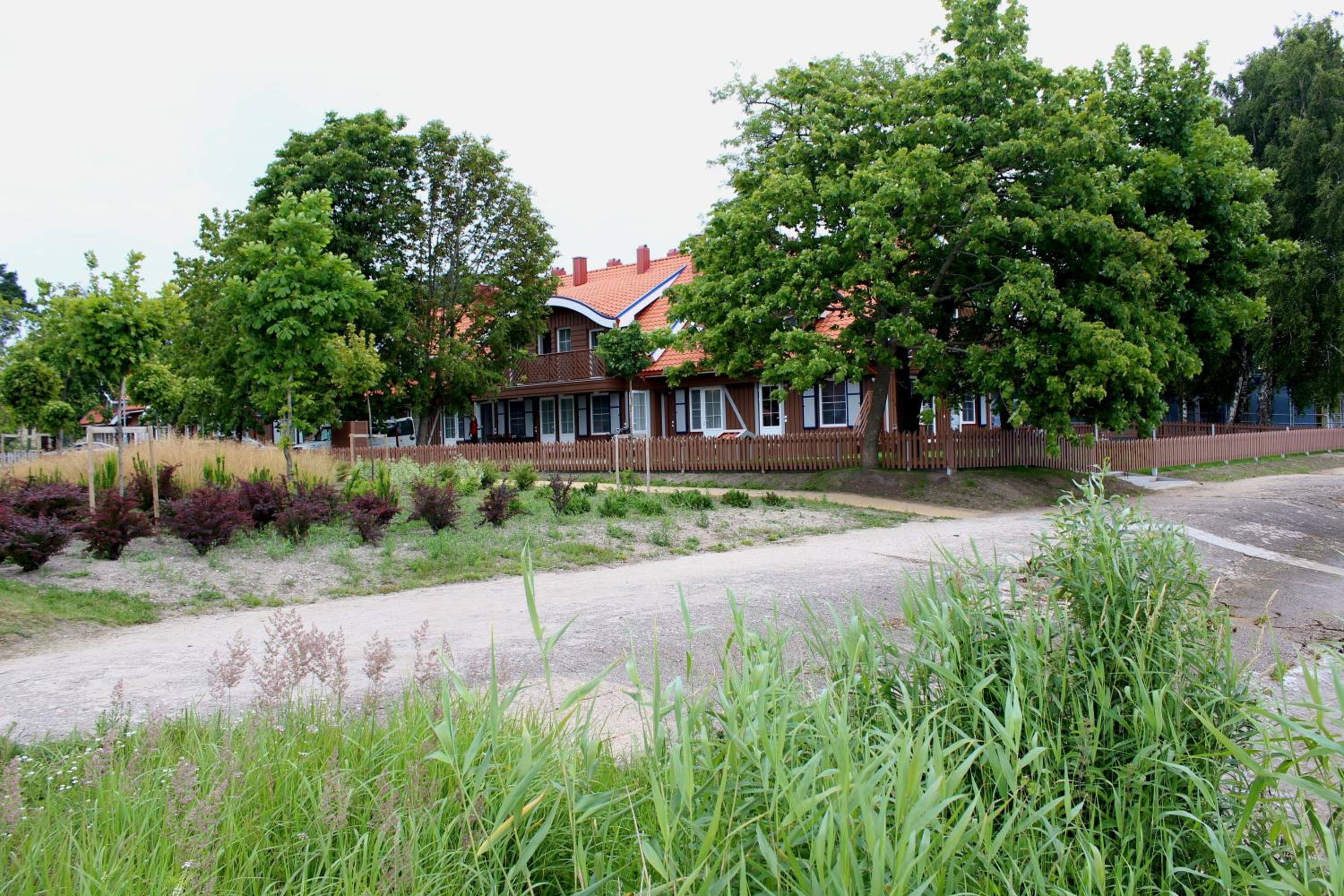 Photo 46