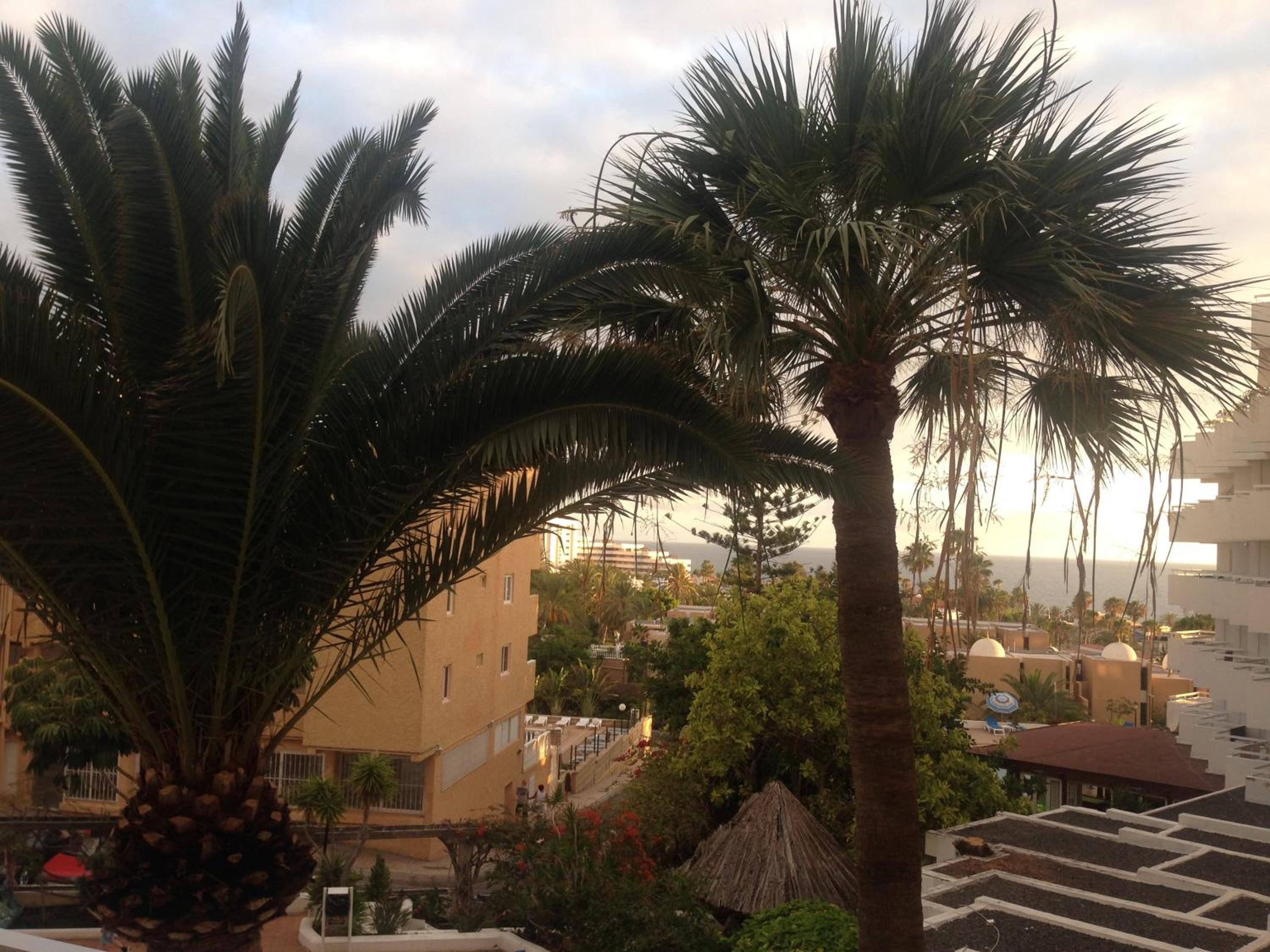 Apart Ponderosa ocean view
