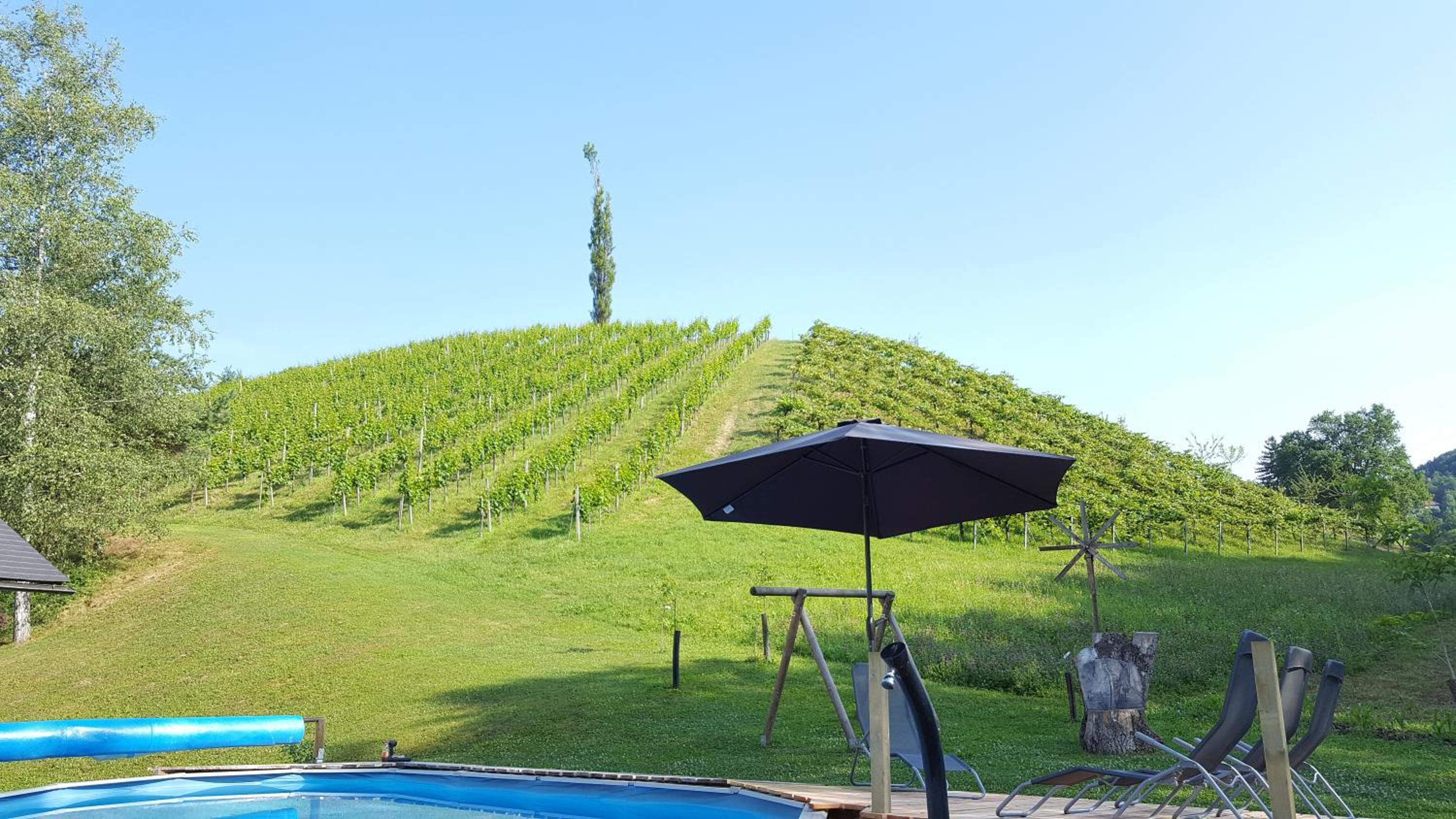 Weingut Lieschnegg
