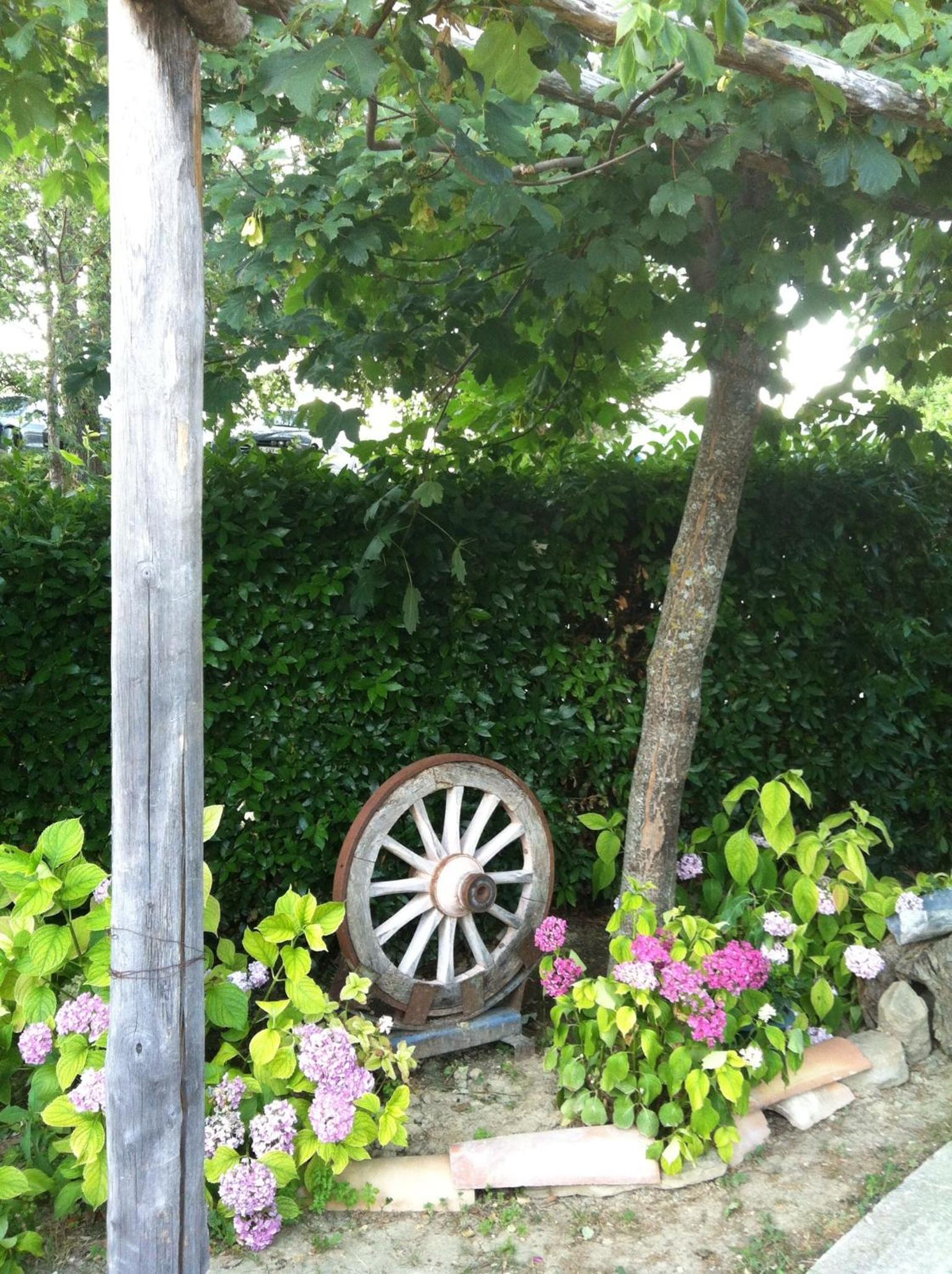 Photo 17