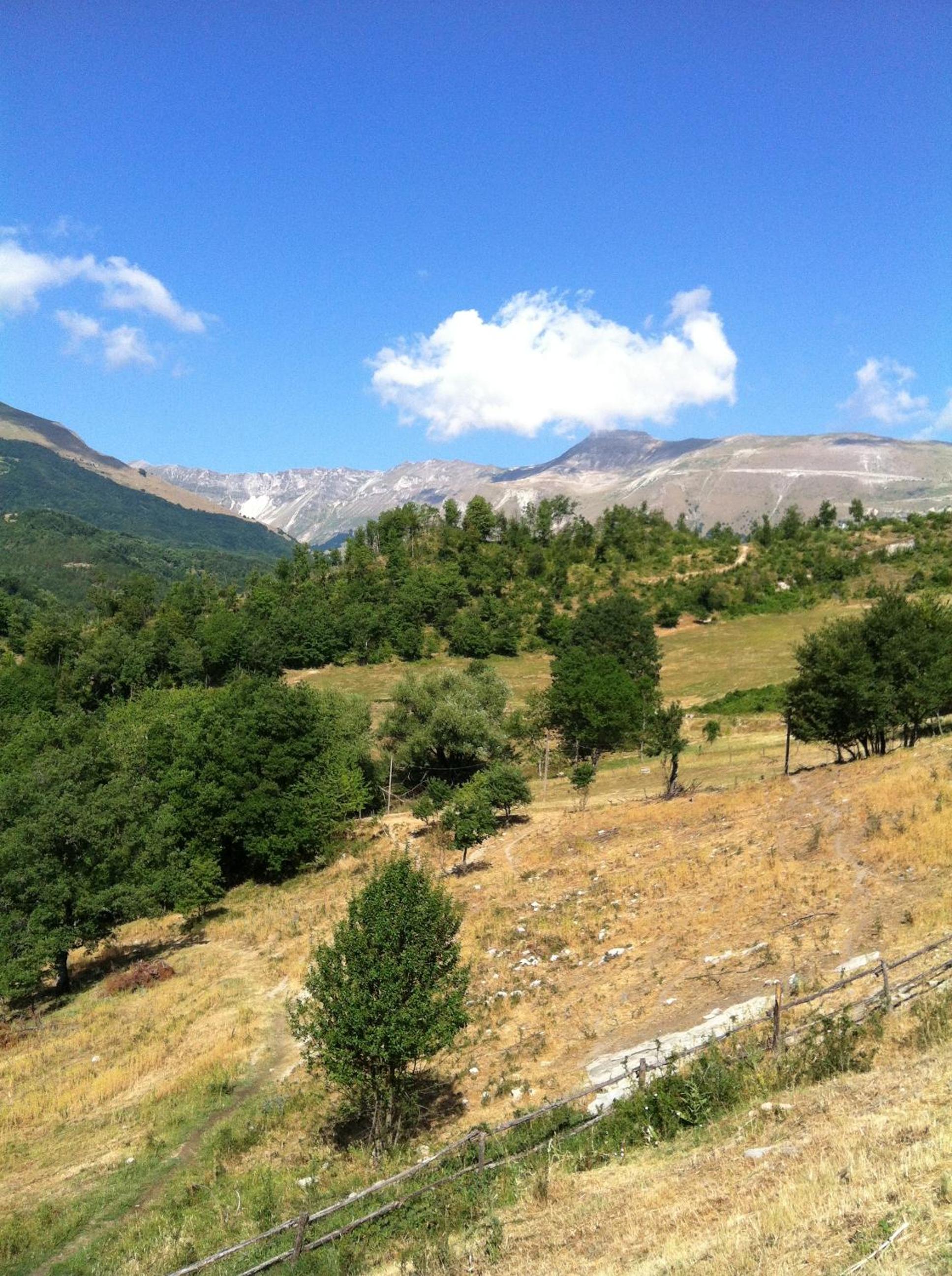 Photo 26