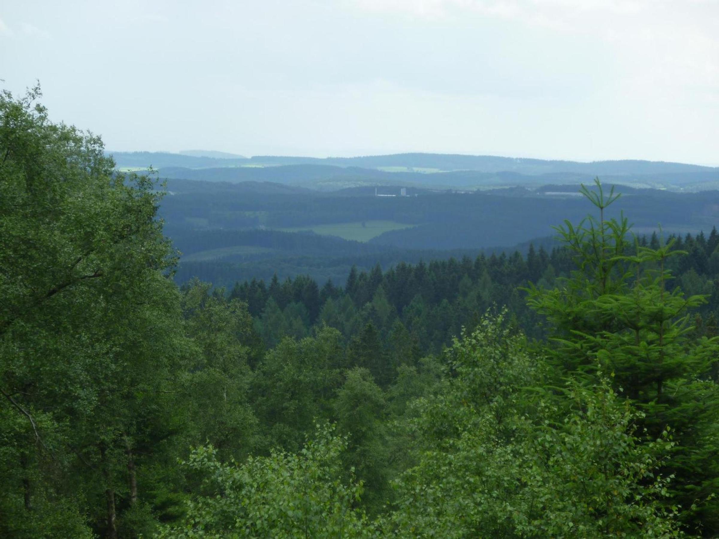 Photo 24
