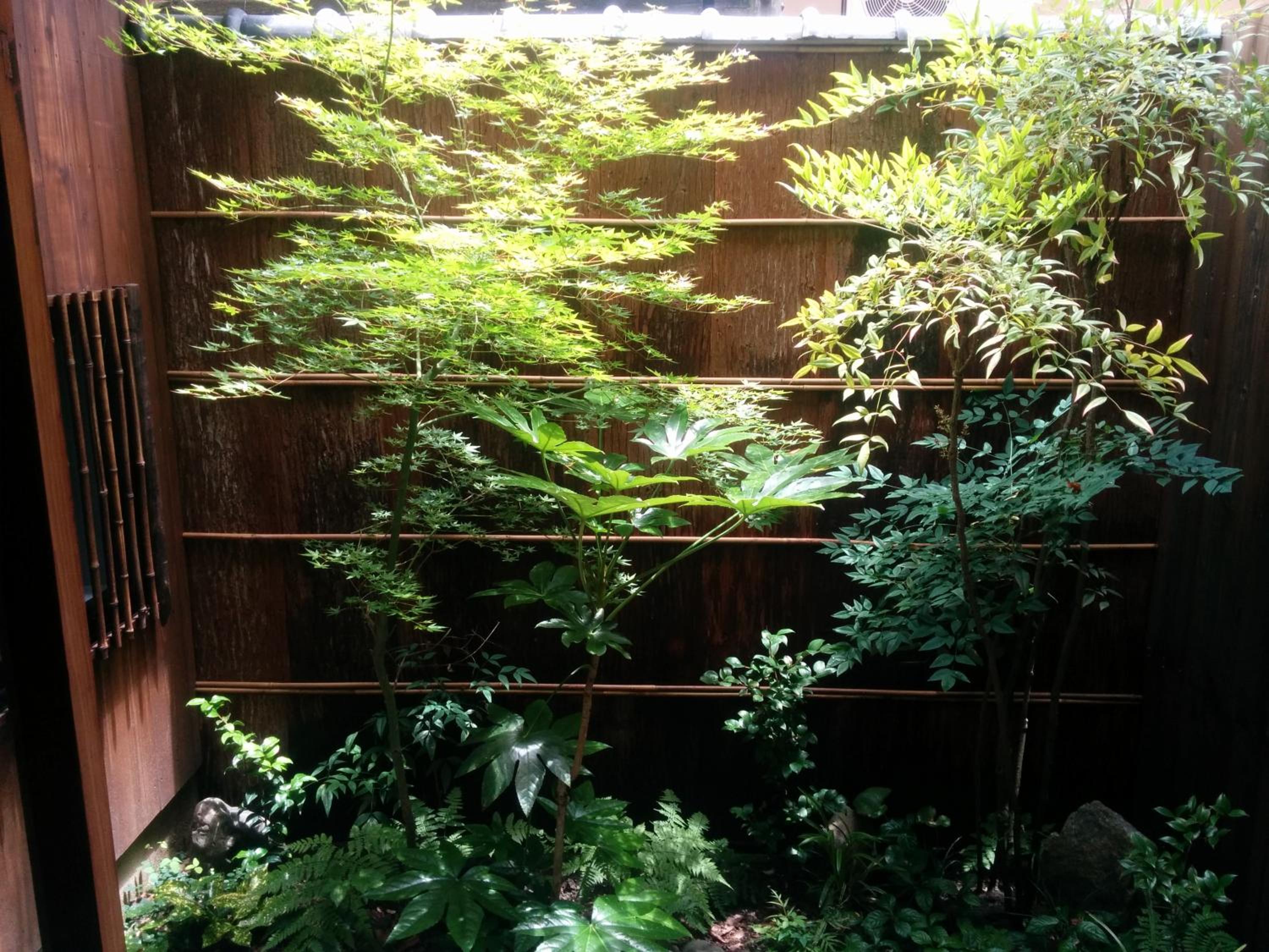 Photo 47