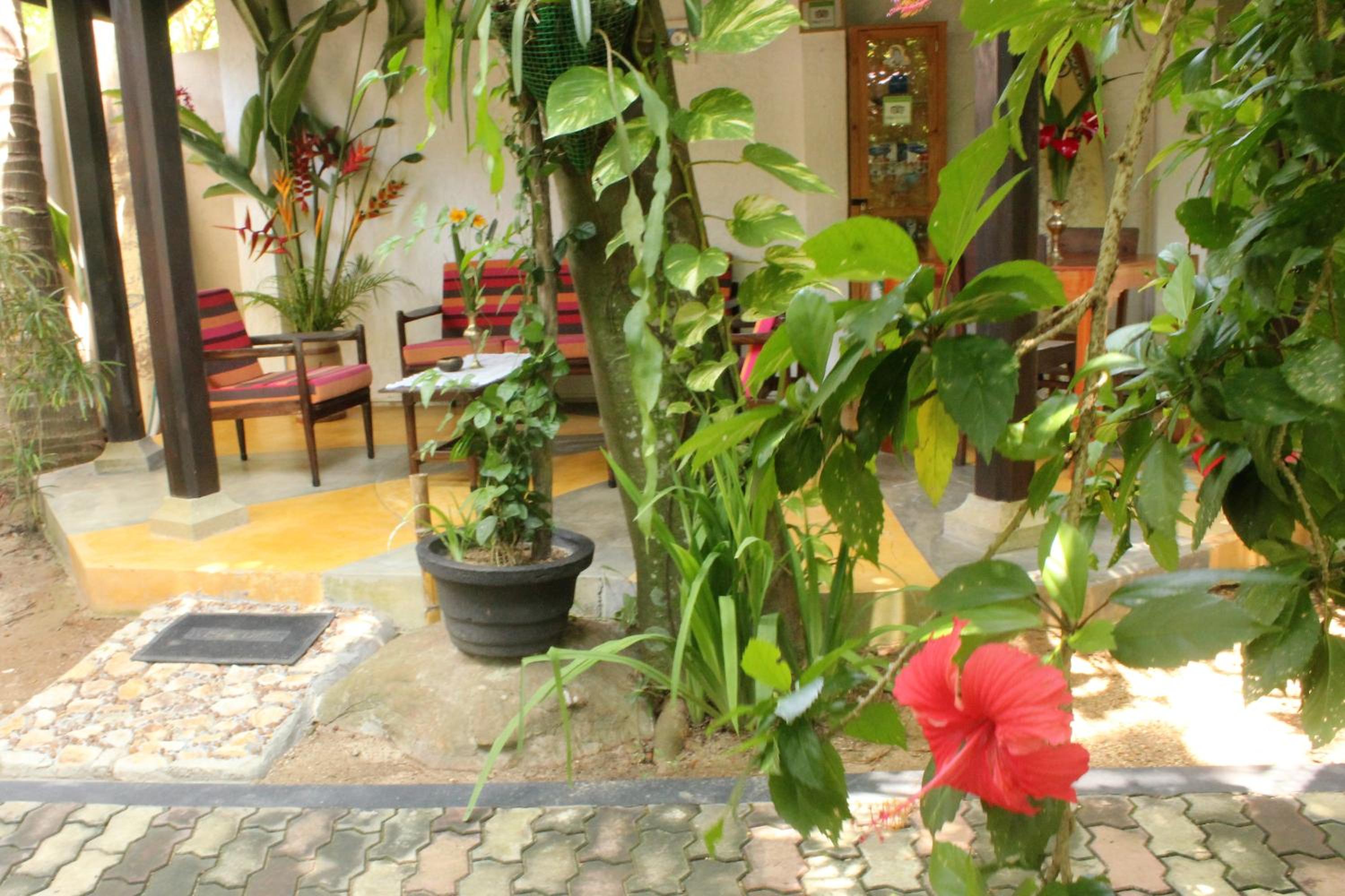 Dionis Villa