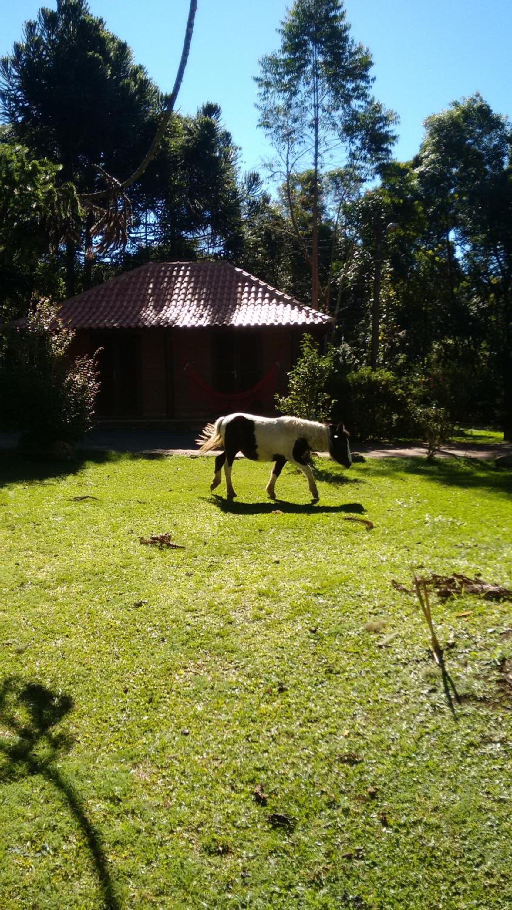 Caminho do Sol