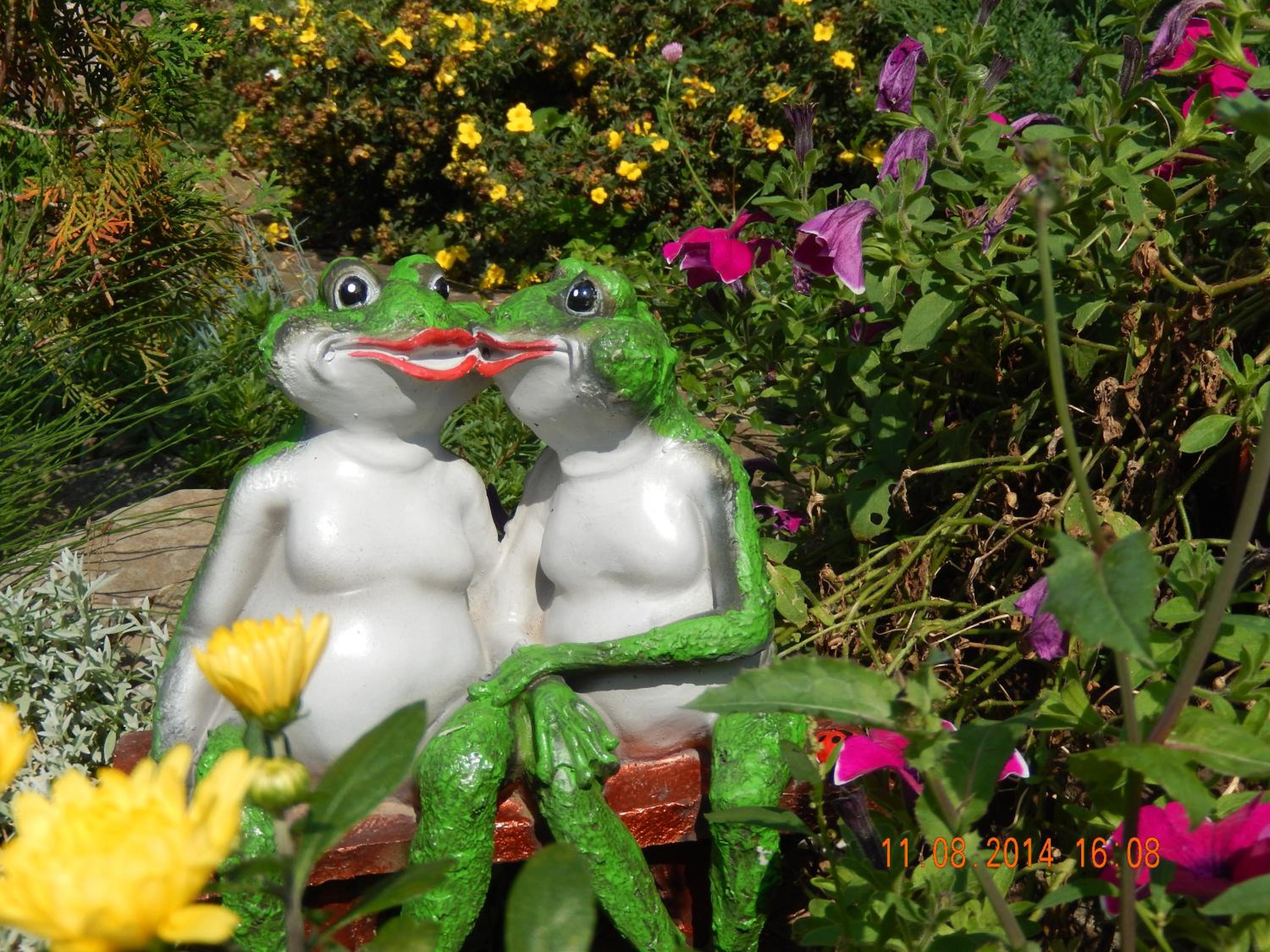 Photo 49