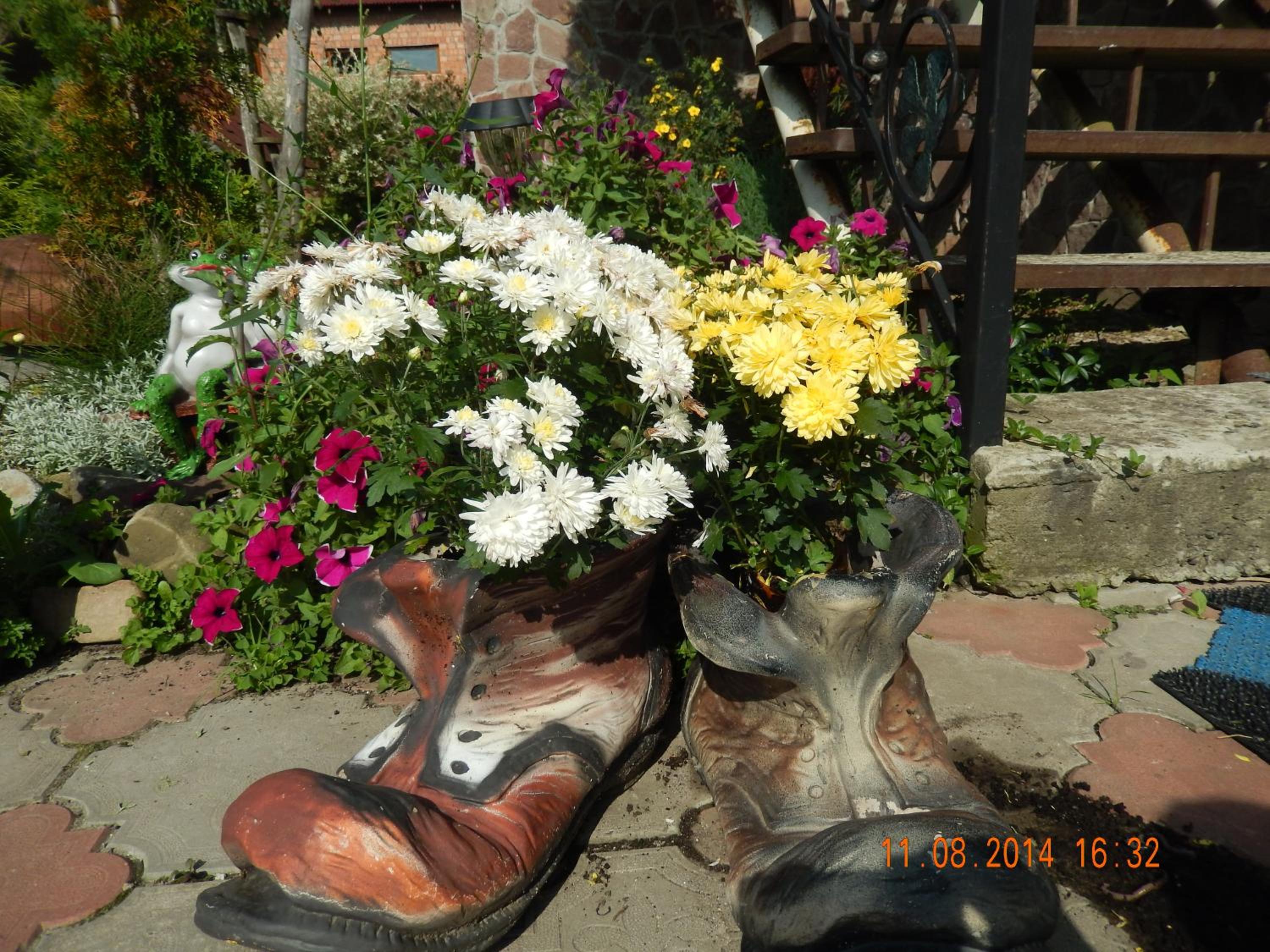 Photo 48