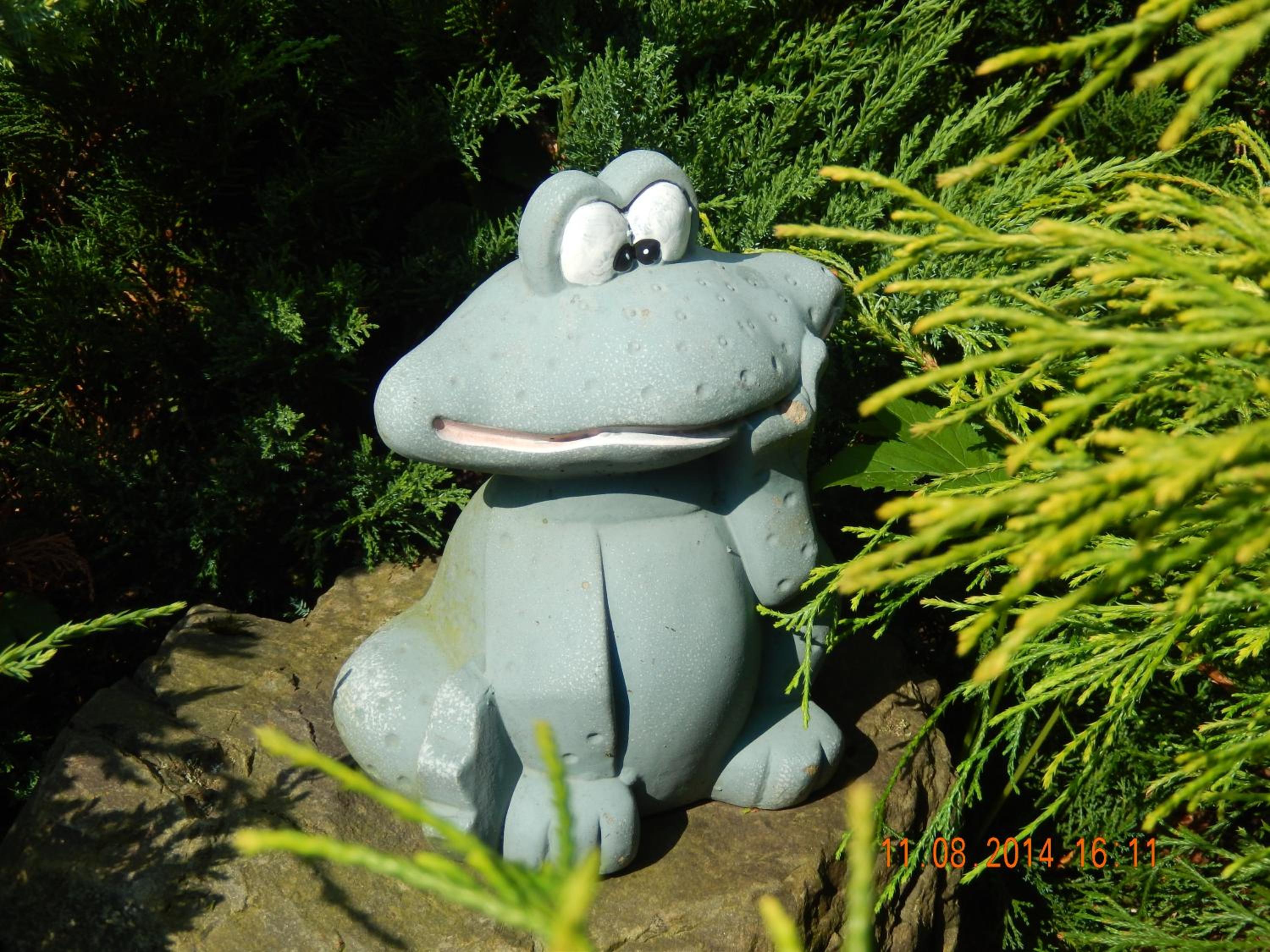 Photo 23