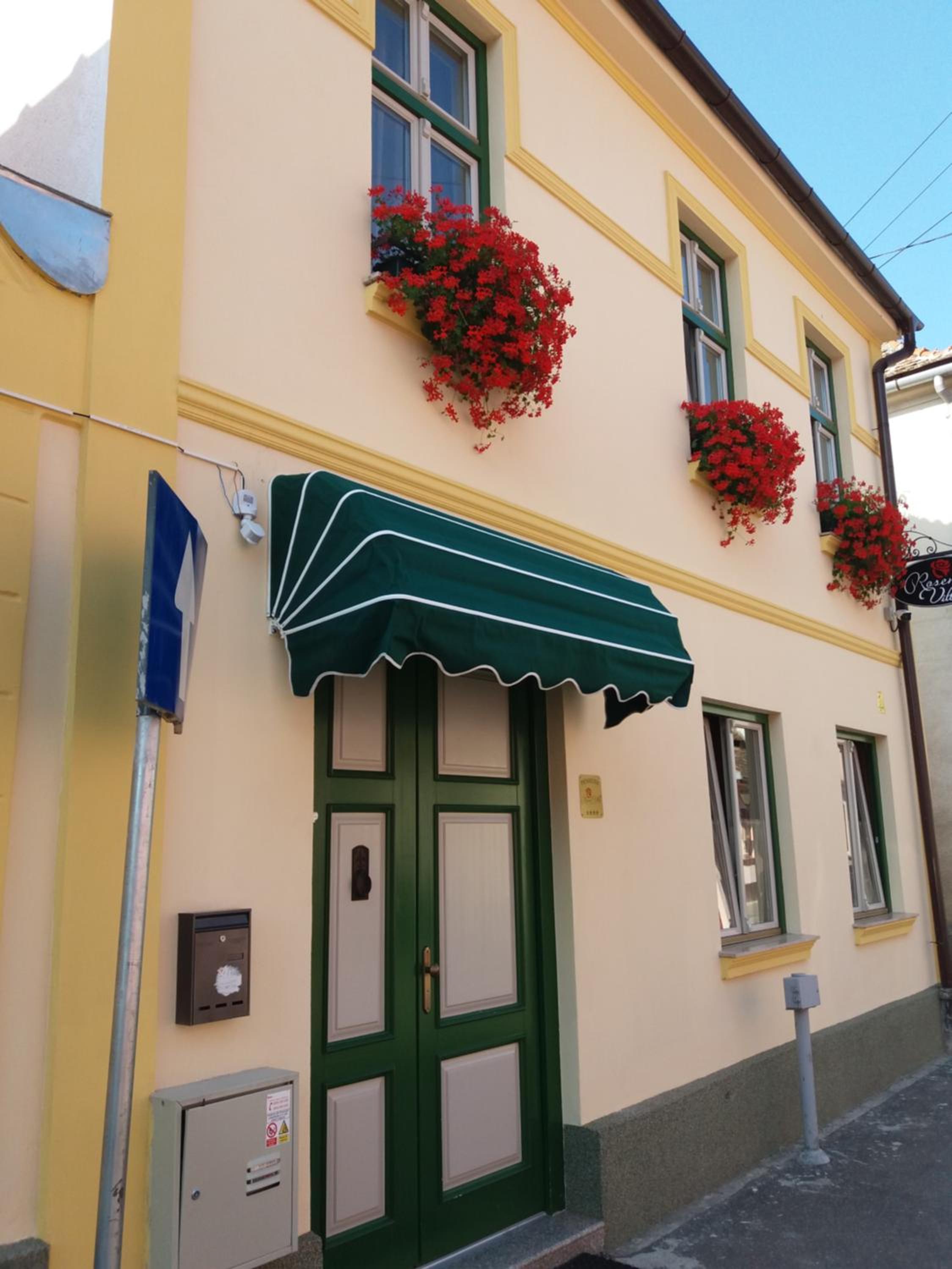 Rosen Villa Sibiu — photo 98