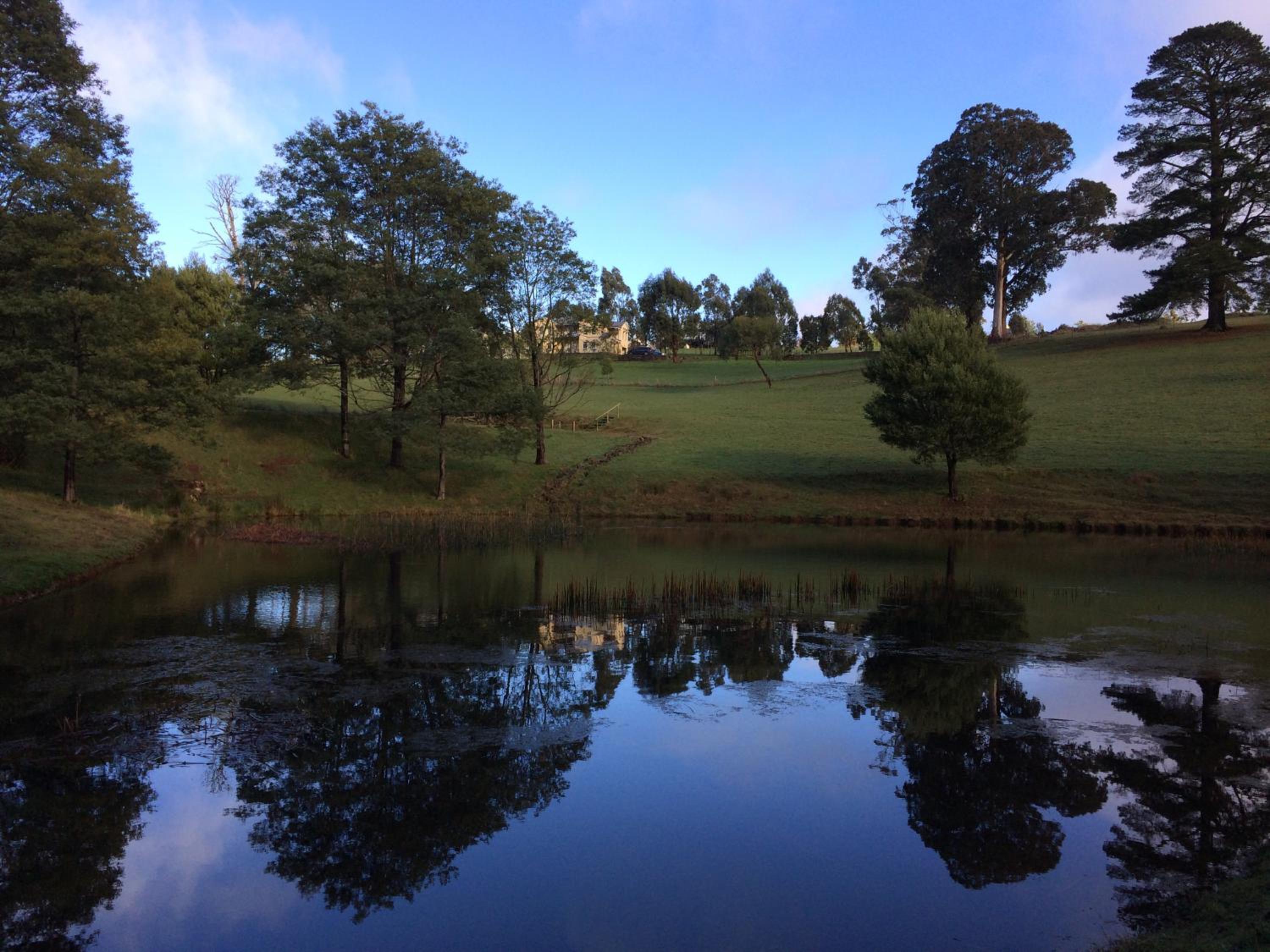 Paradiso Kinglake