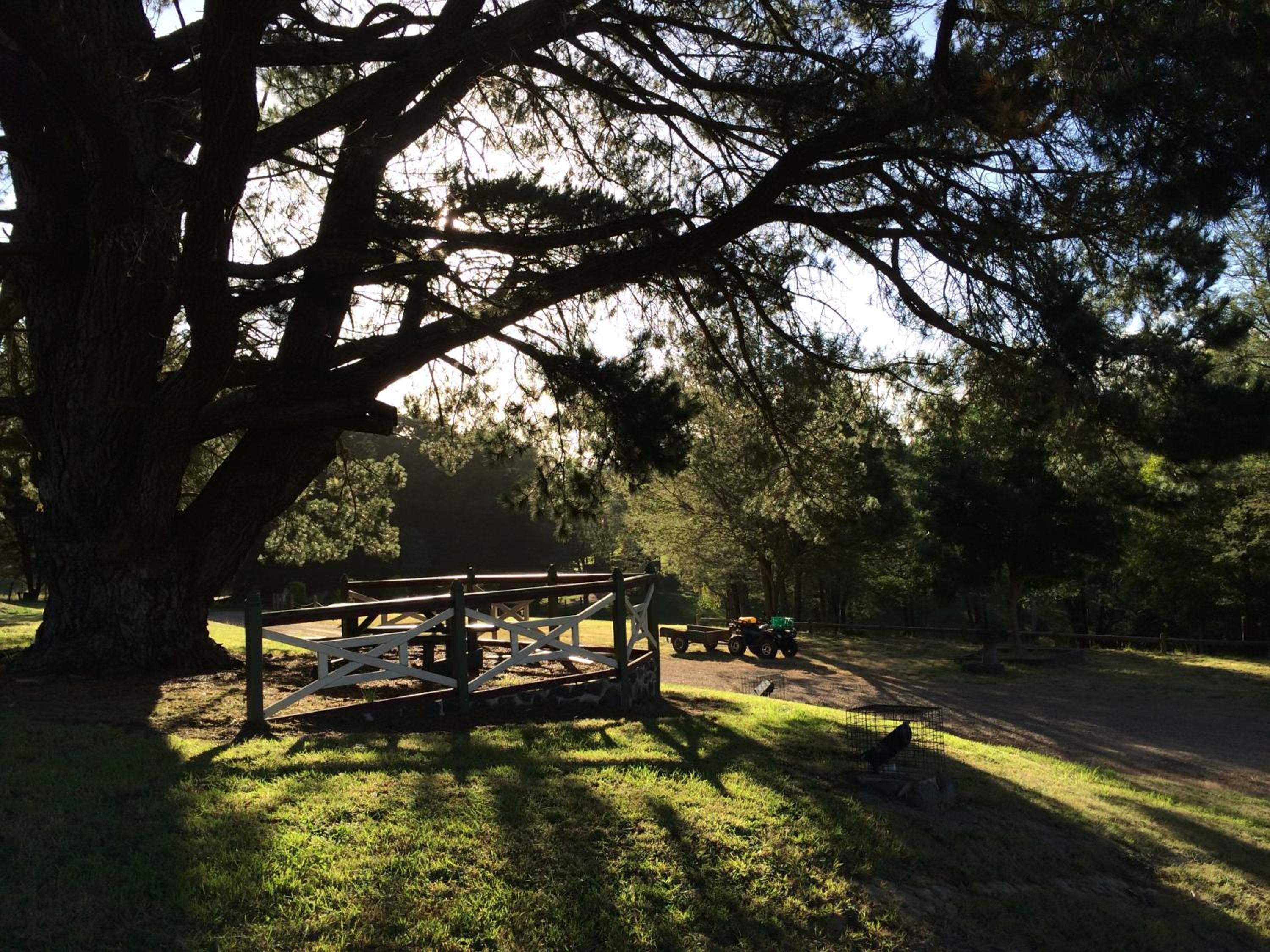 Paradiso Kinglake