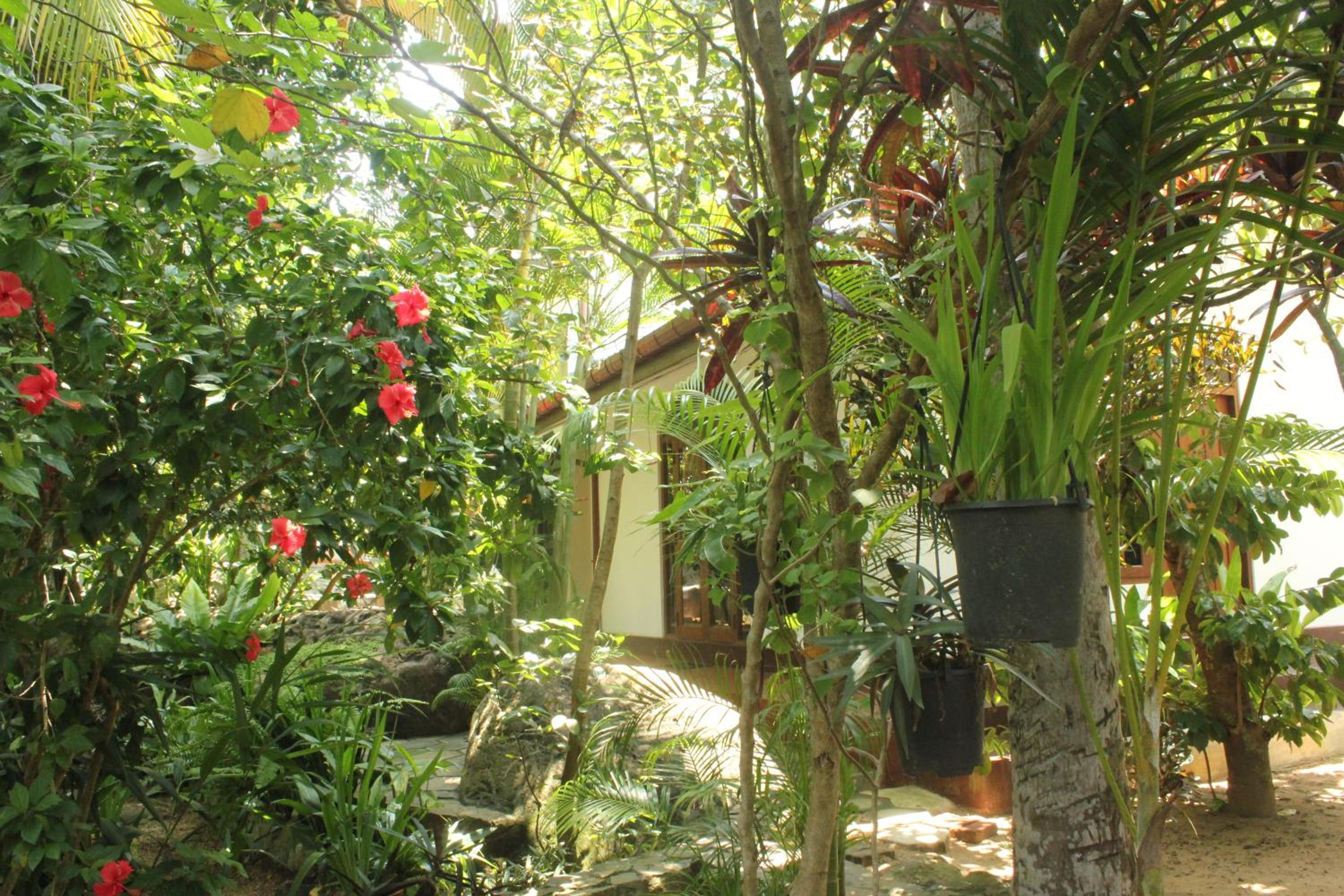Dionis Villa
