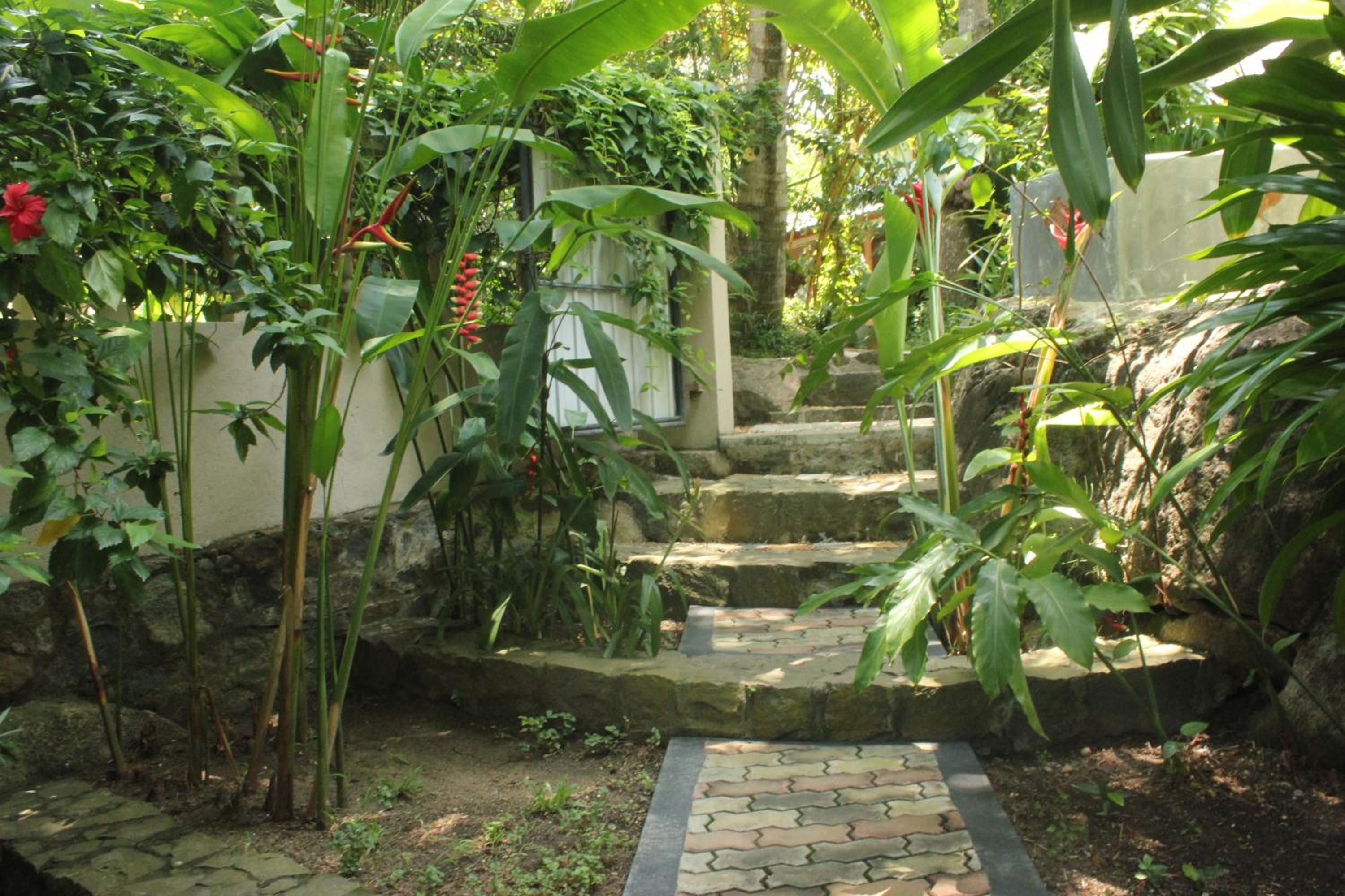 Dionis Villa