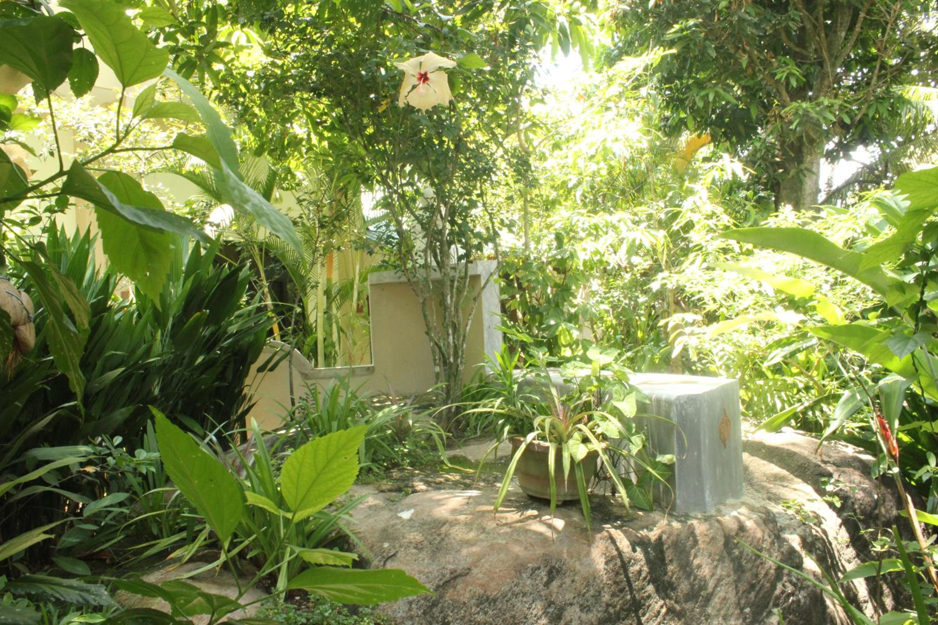 Dionis Villa